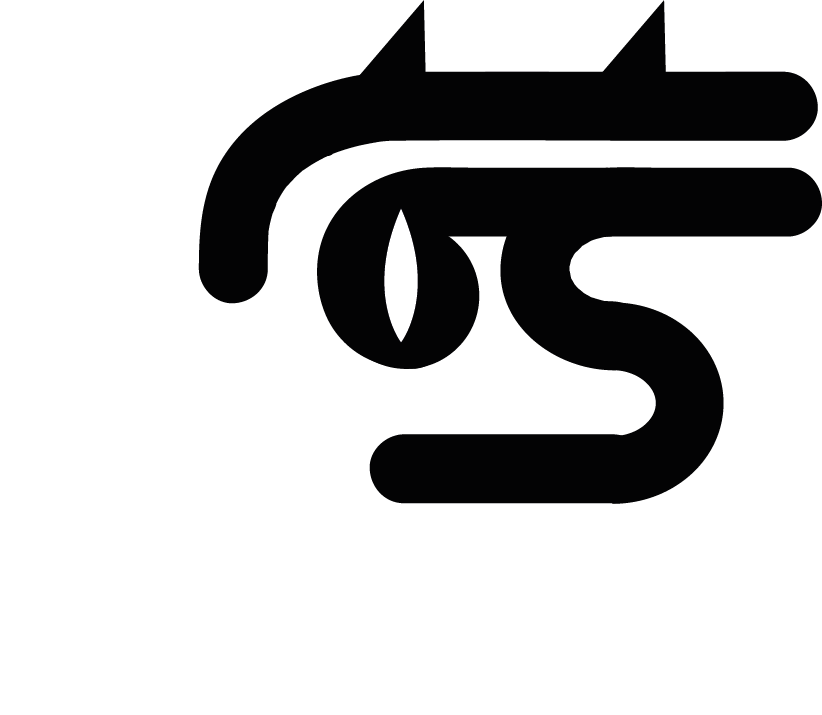 CRAZY LIZARD