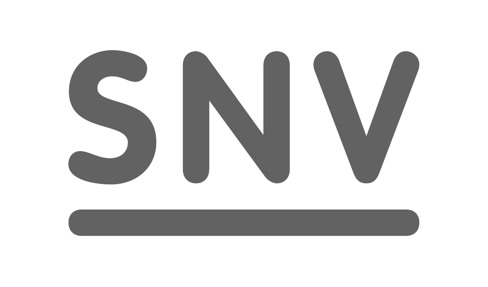 SNV_logo_cyan_300bw2.png