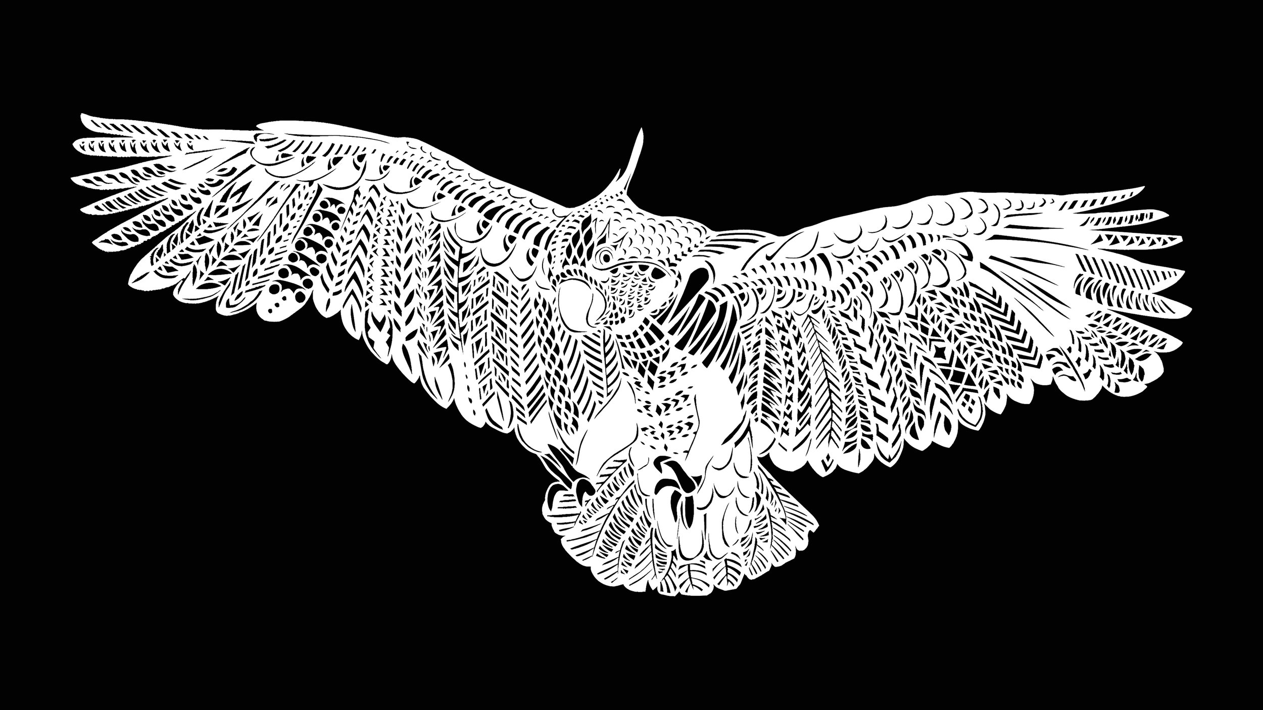 A cockatoo in flight, papercutting by Thysart