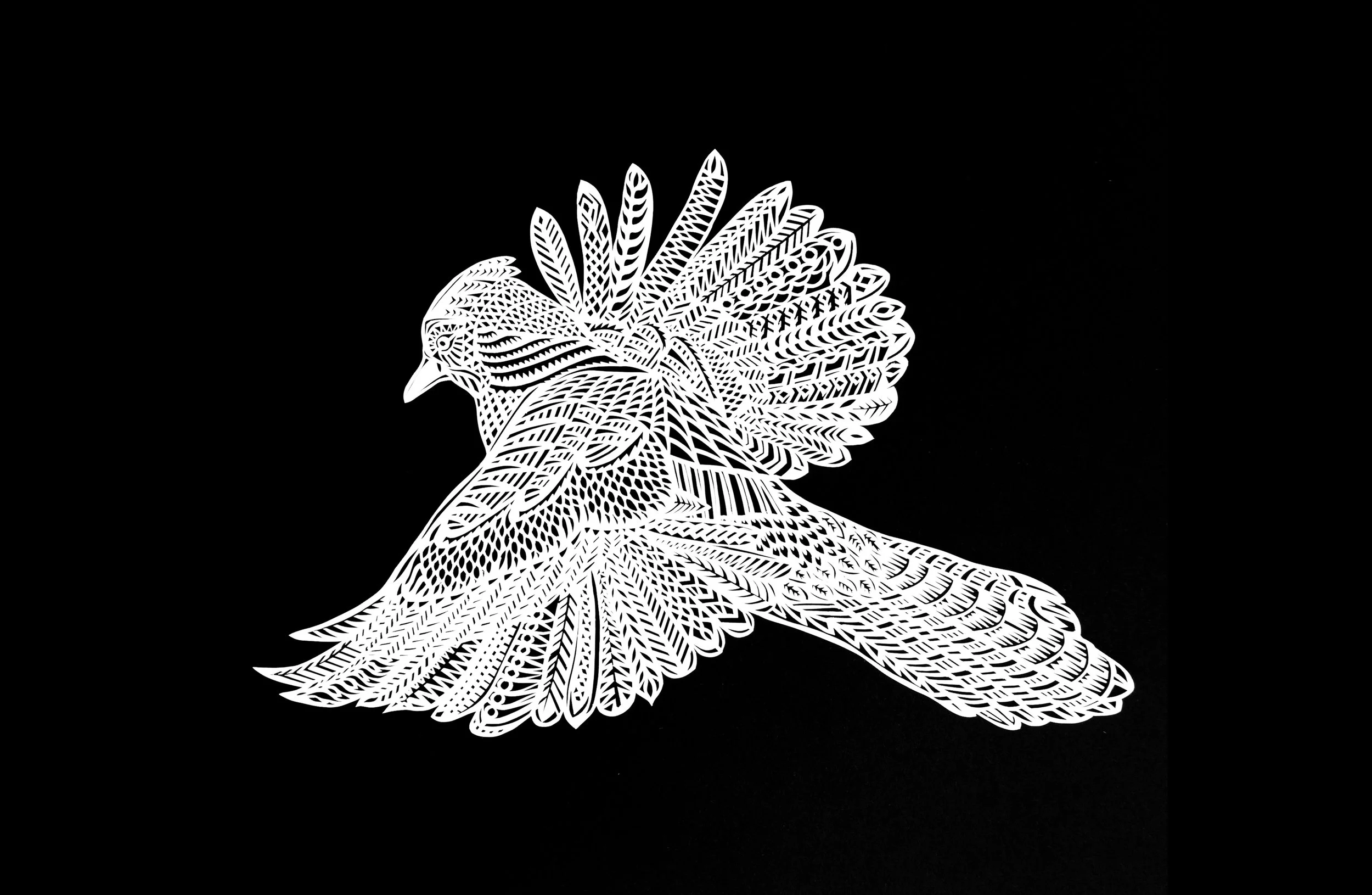 This bluejay is flying off of the paper, papercutting has that effect on him