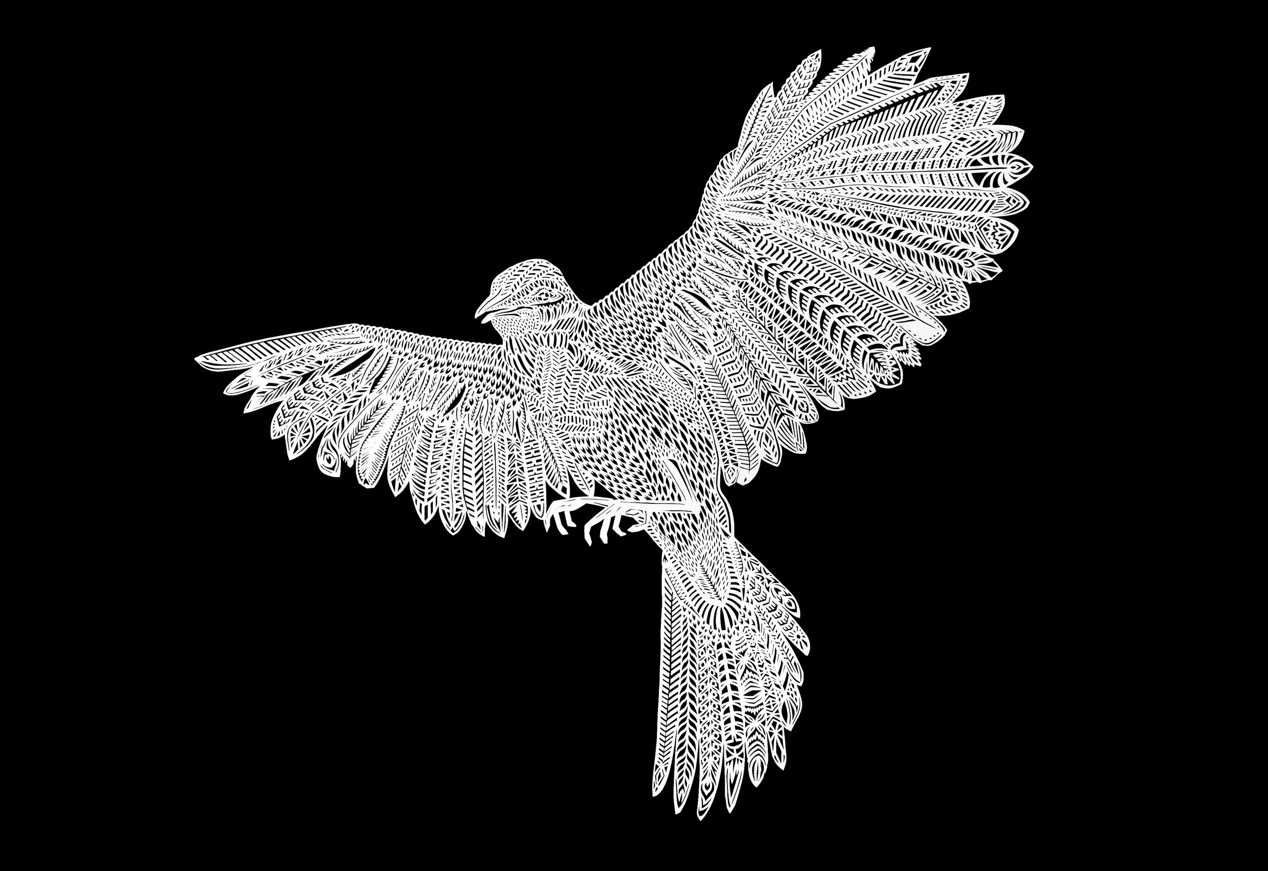 We have a heard of the famous mockingbird, but have you seen a papercutting of one done by Thysart?