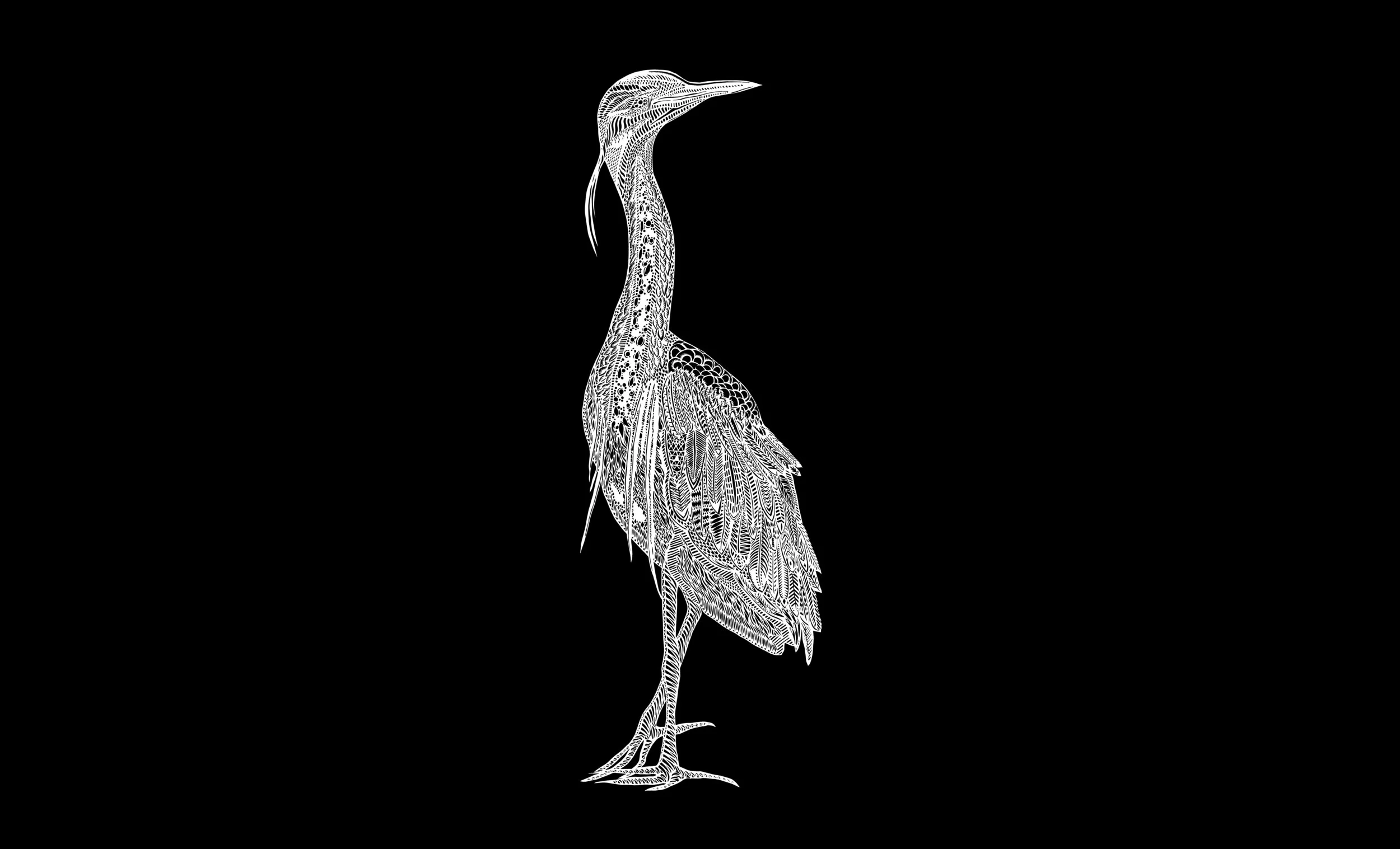 You can find these heron's all over Amsterdam, especially after a street market, that inspired Thysart to make this papercutting 