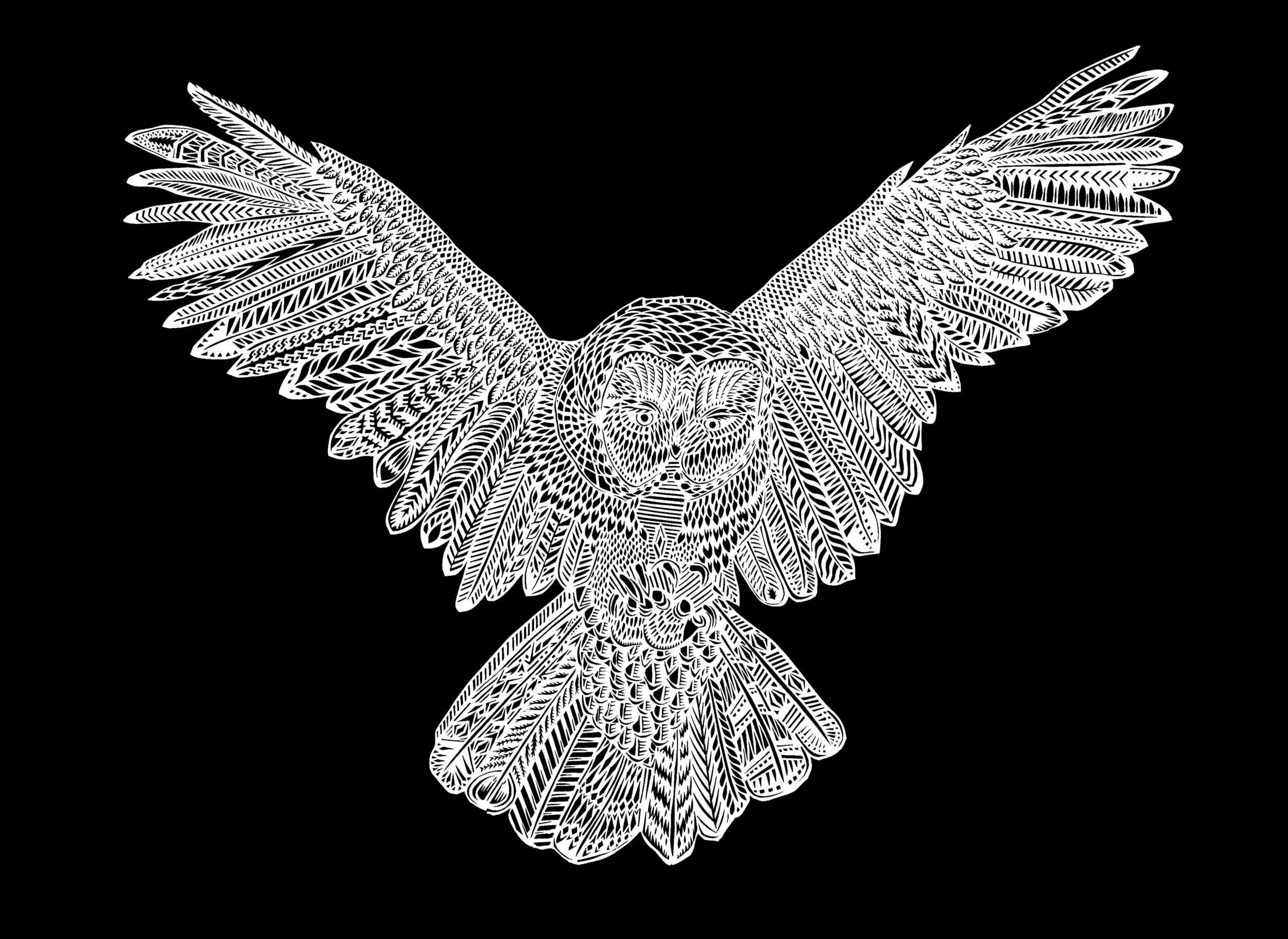 This owl is flying off of the cutout paper, intricate cutting done by Thysart