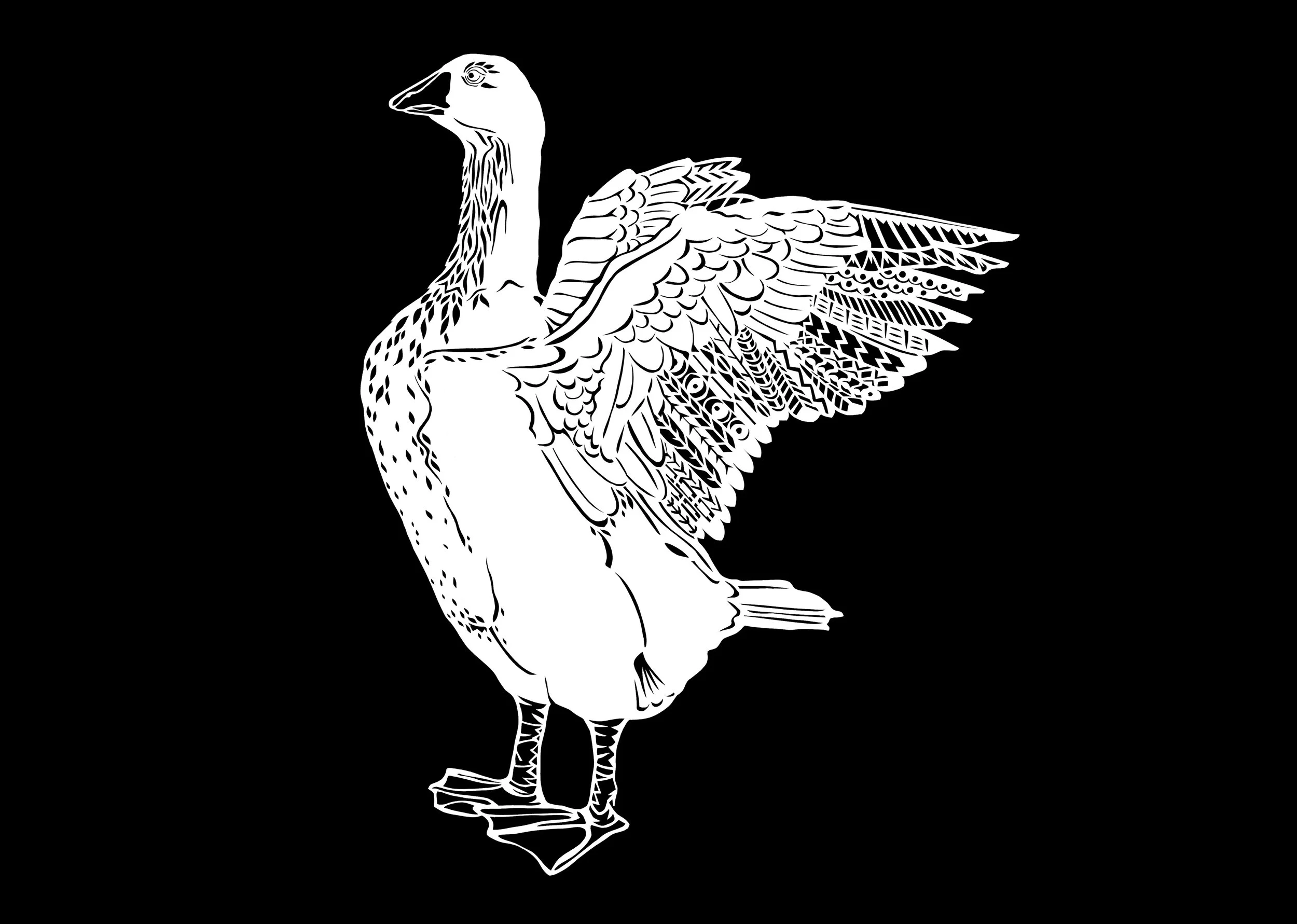 Goose. long copy.jpg