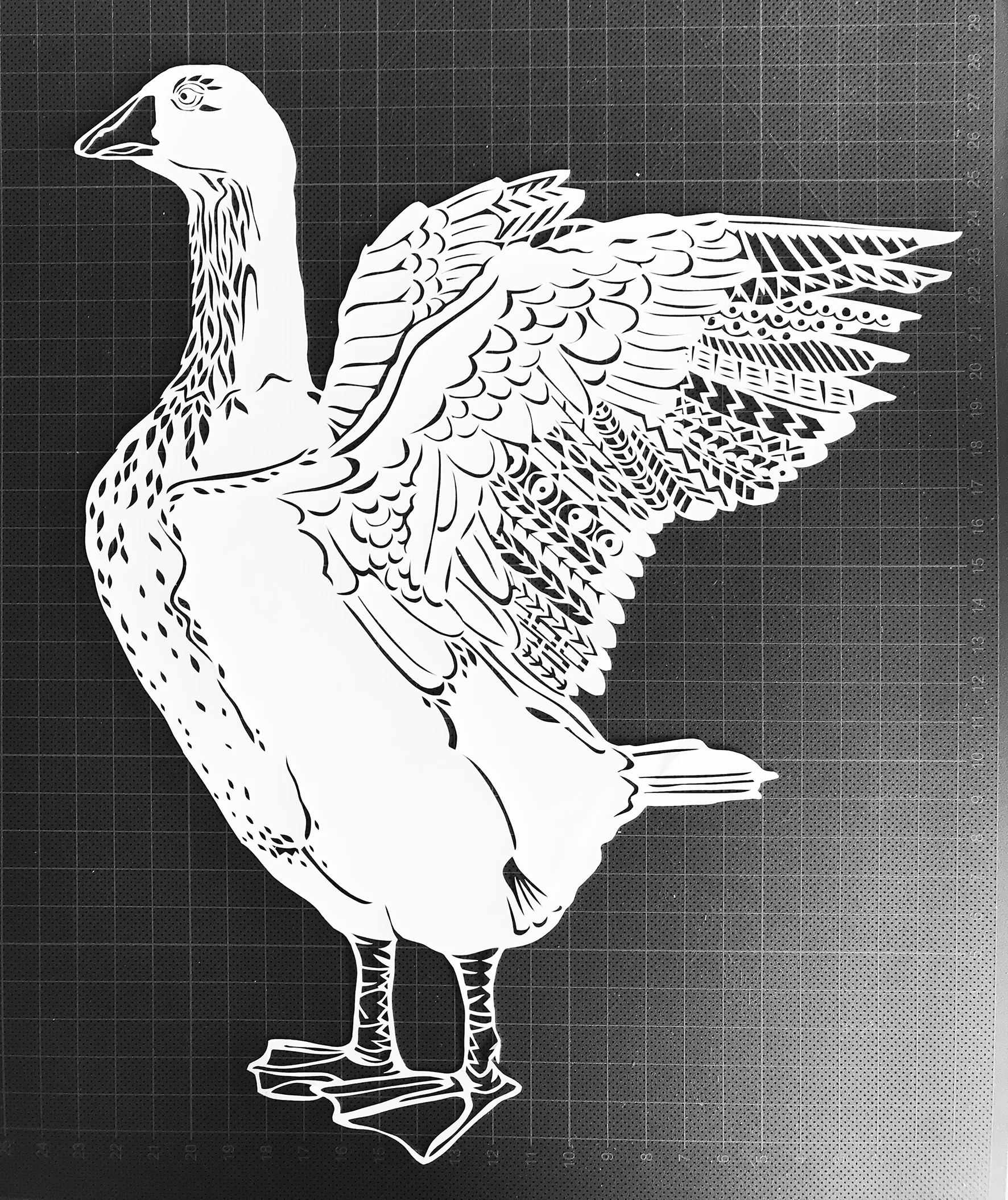 gans cutout klein.jpg