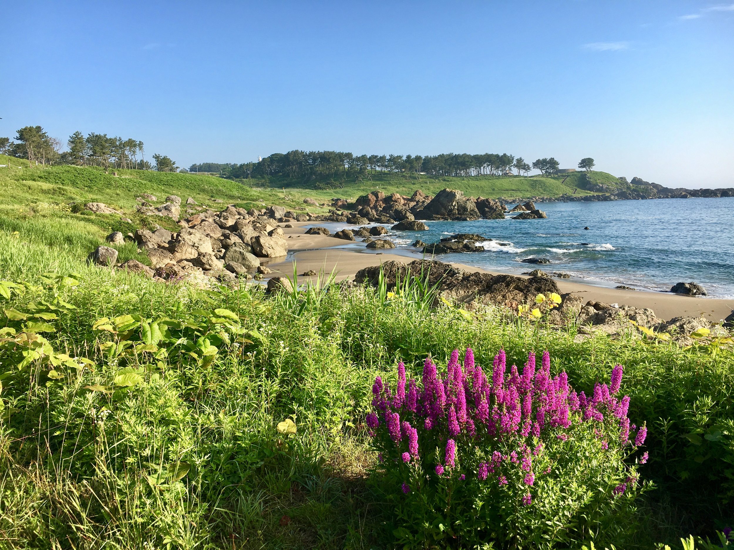 Tanesashi Coast, Aomori