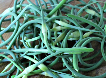 scapes.png