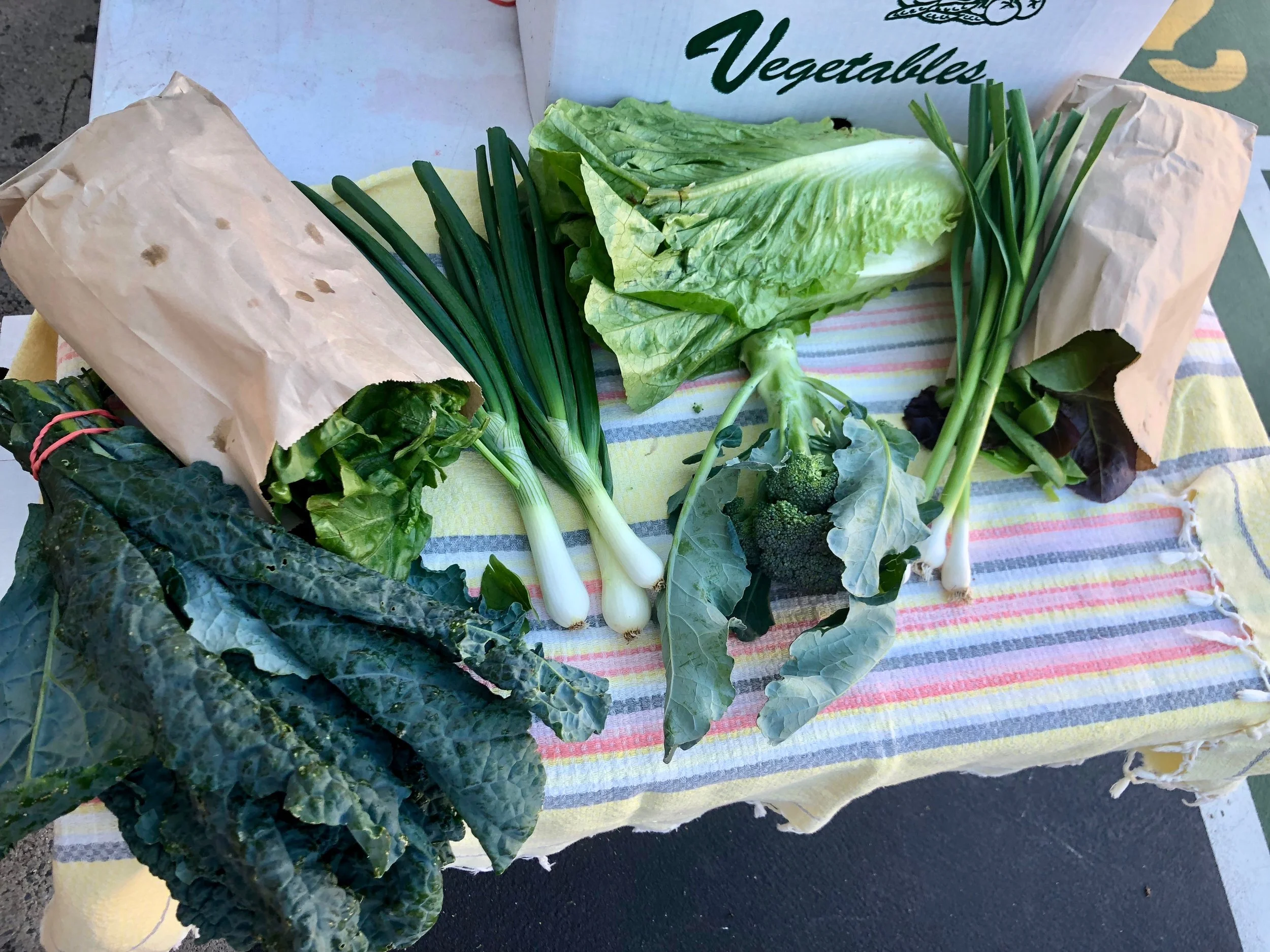 Week #1 Distribution