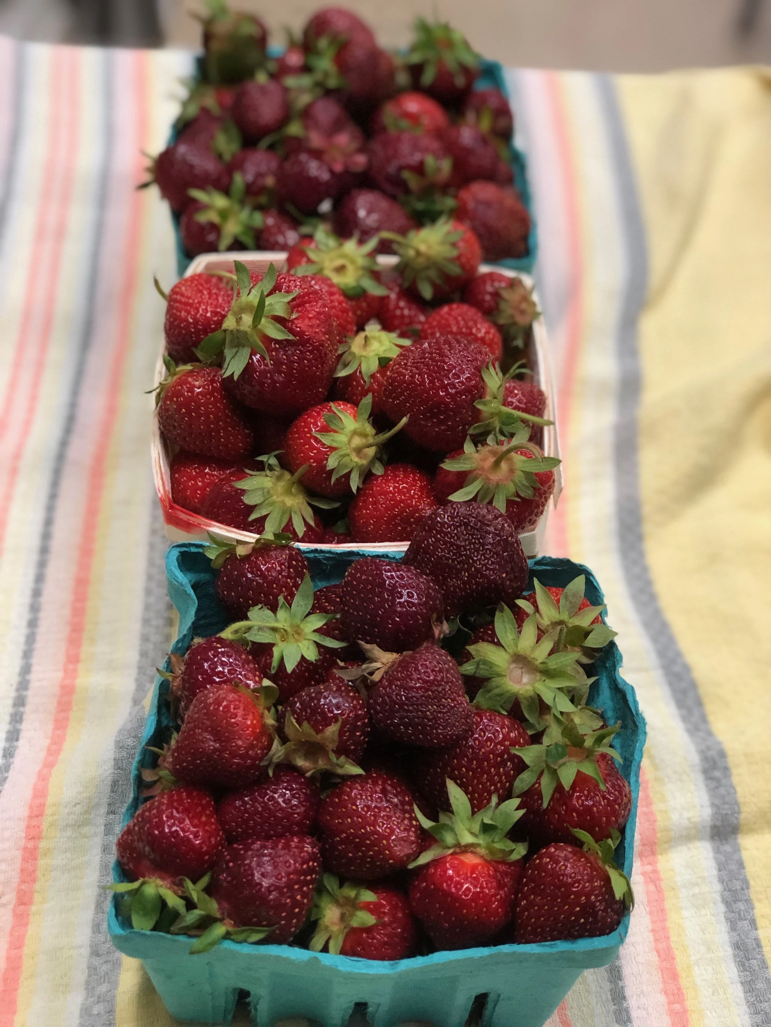 Week #2 Distribution