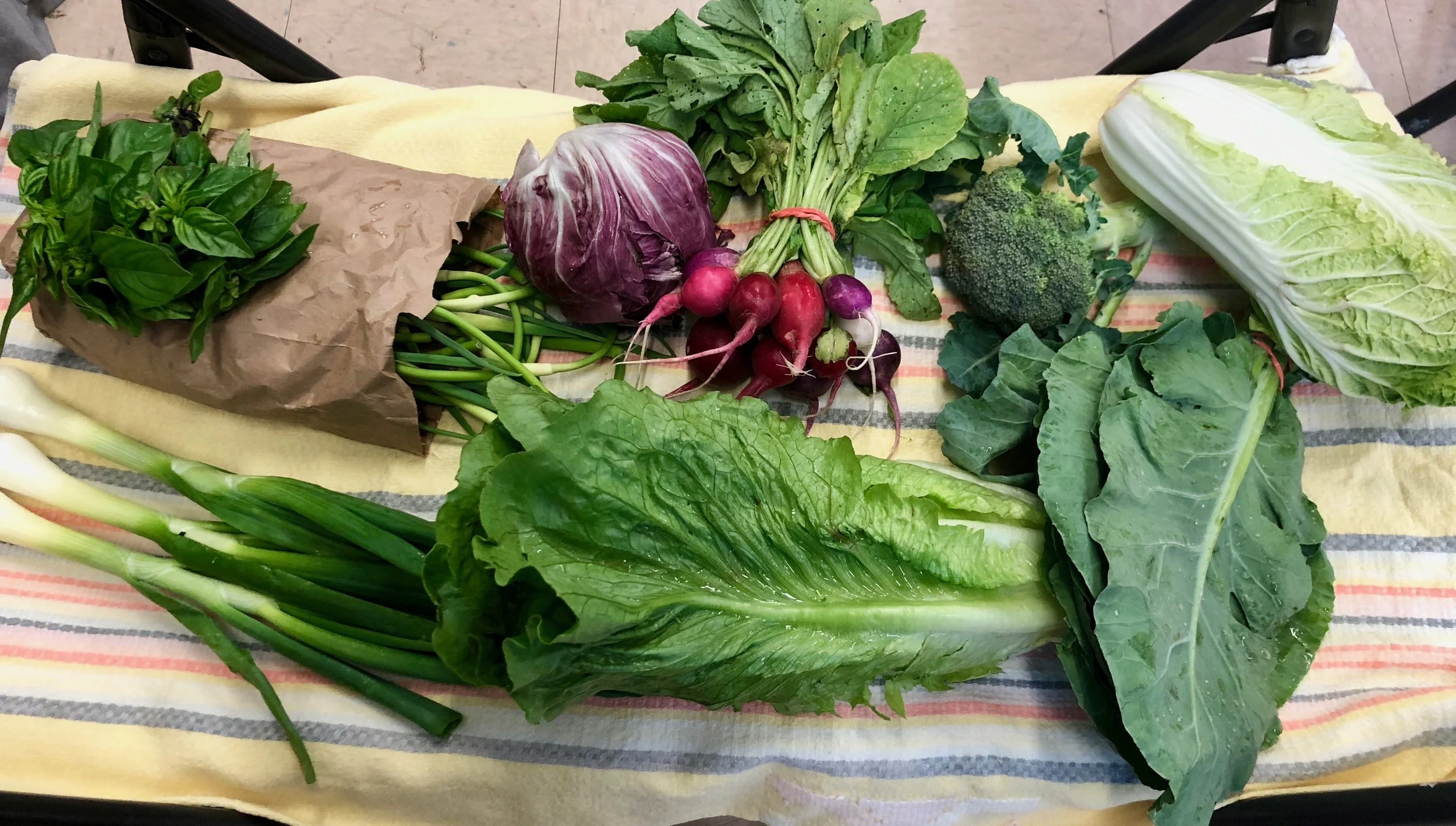 Week #3 Distribution