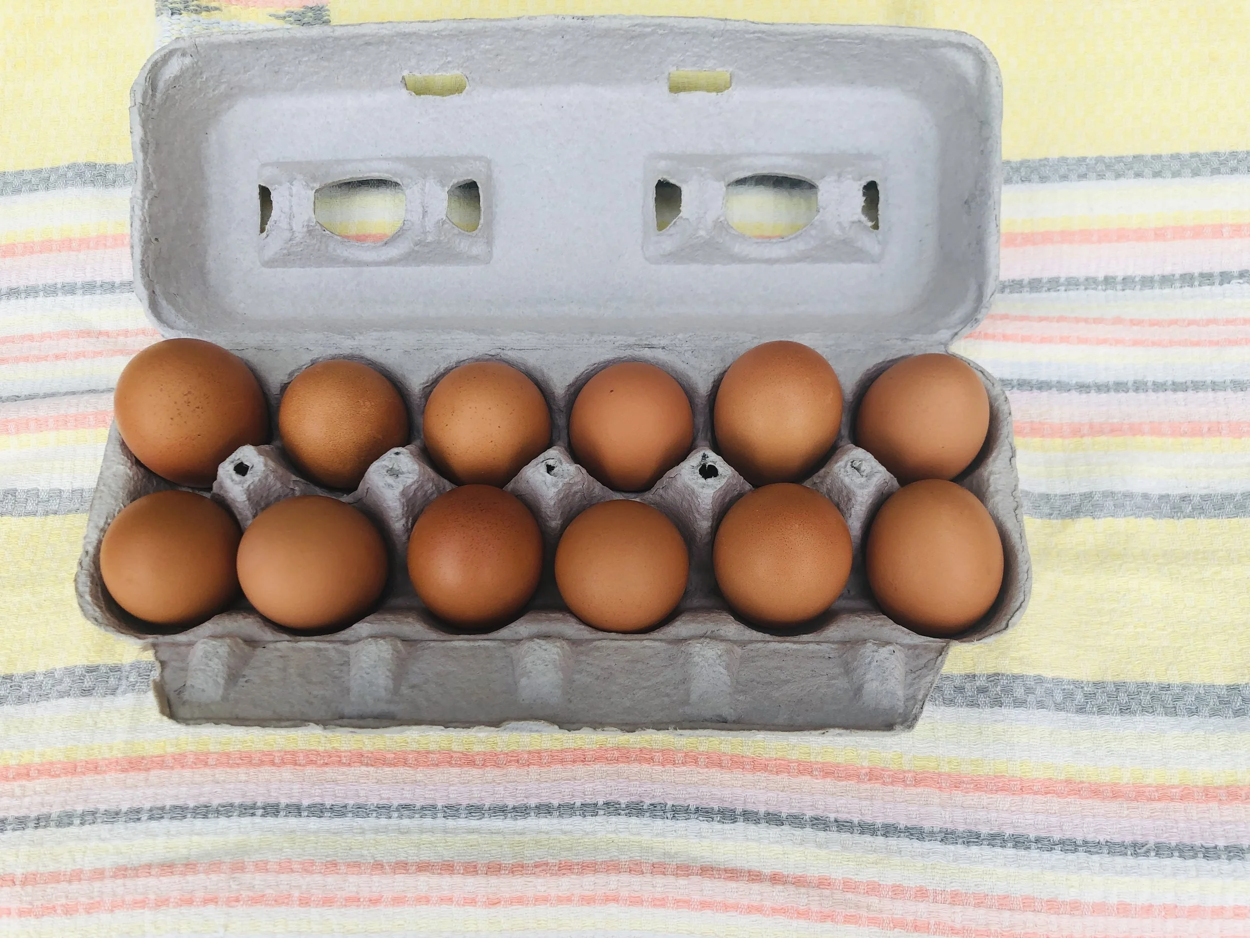 Week #4/5/6 Distribution