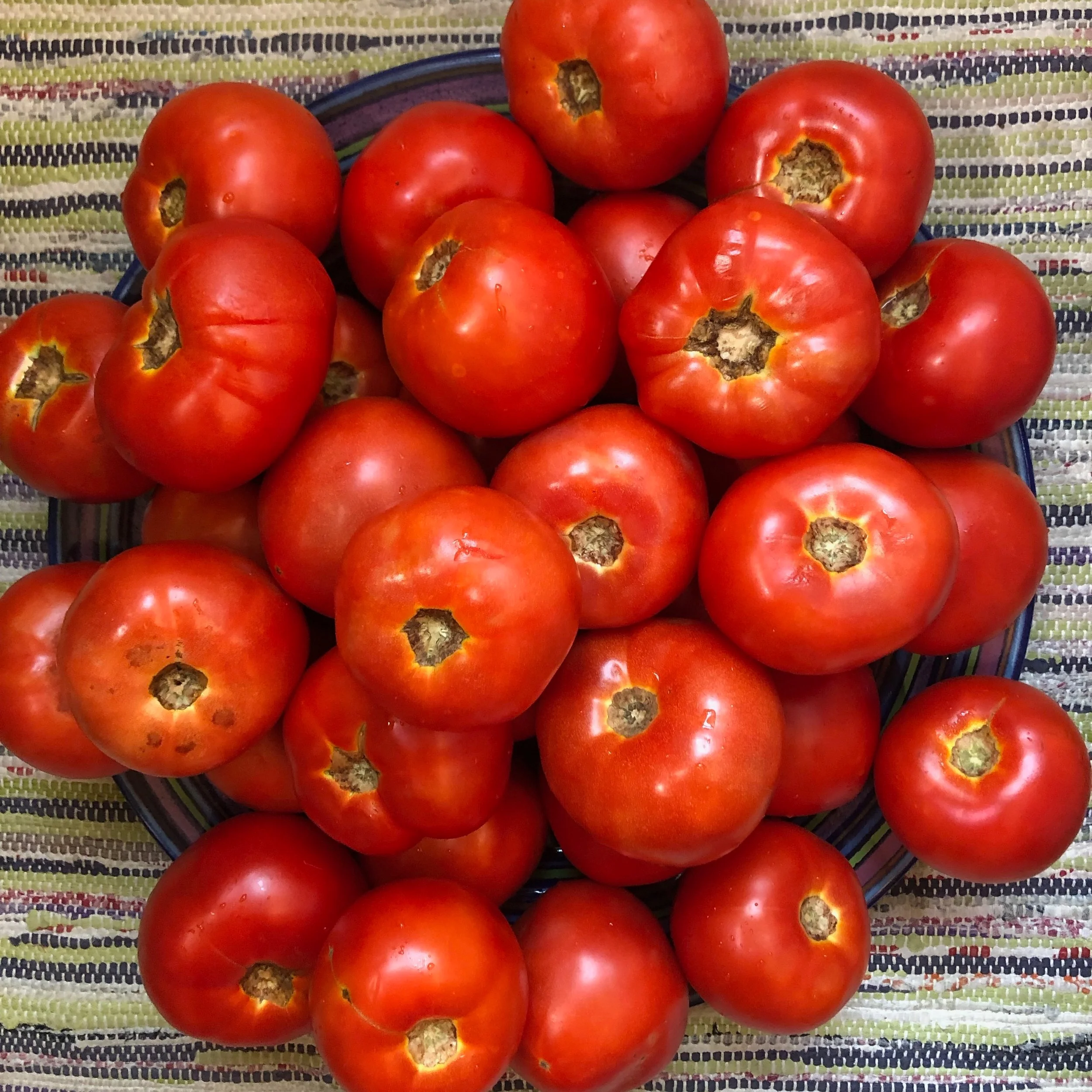 Week #9 Distribution