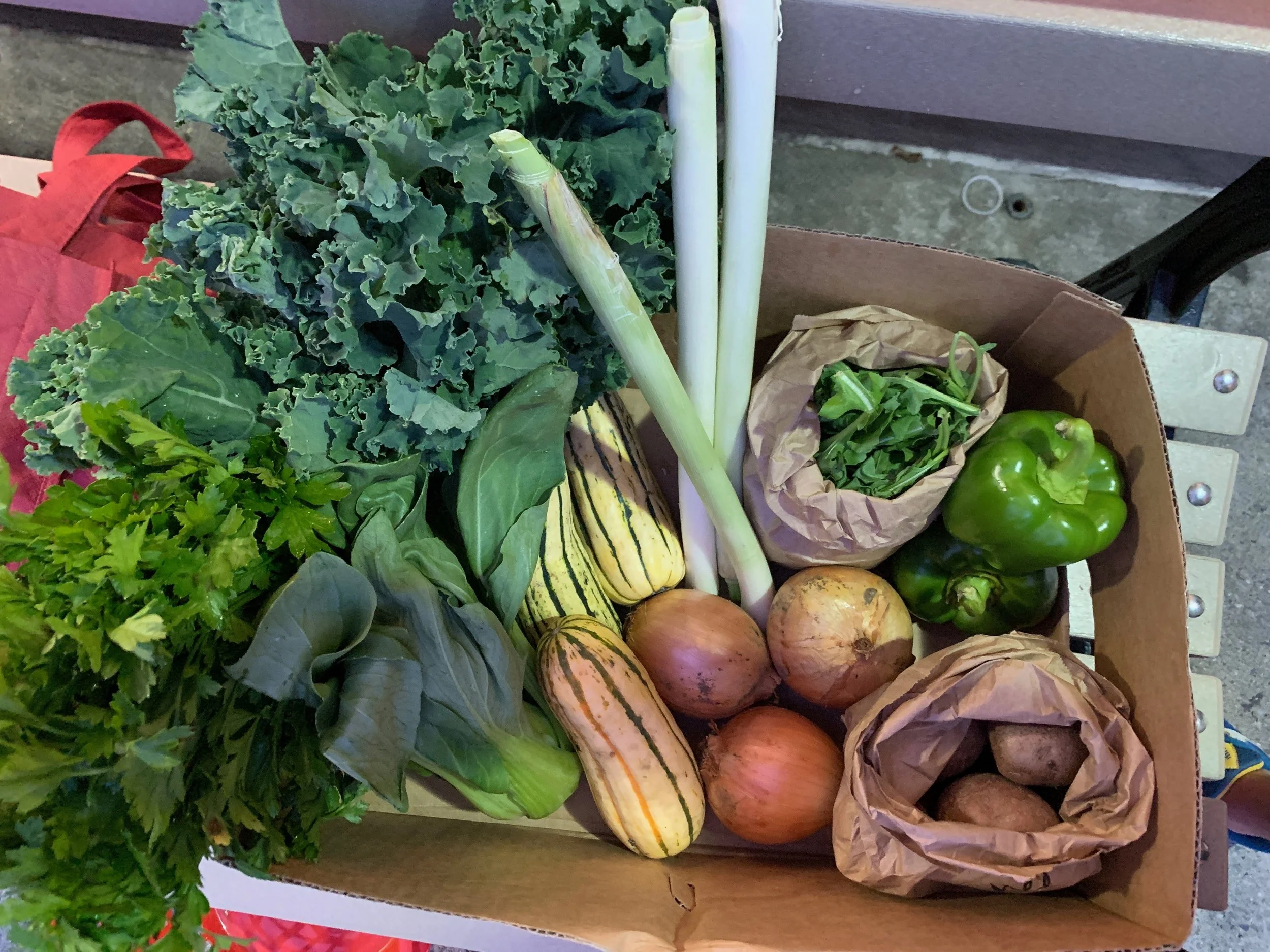 Week #16 Distribution