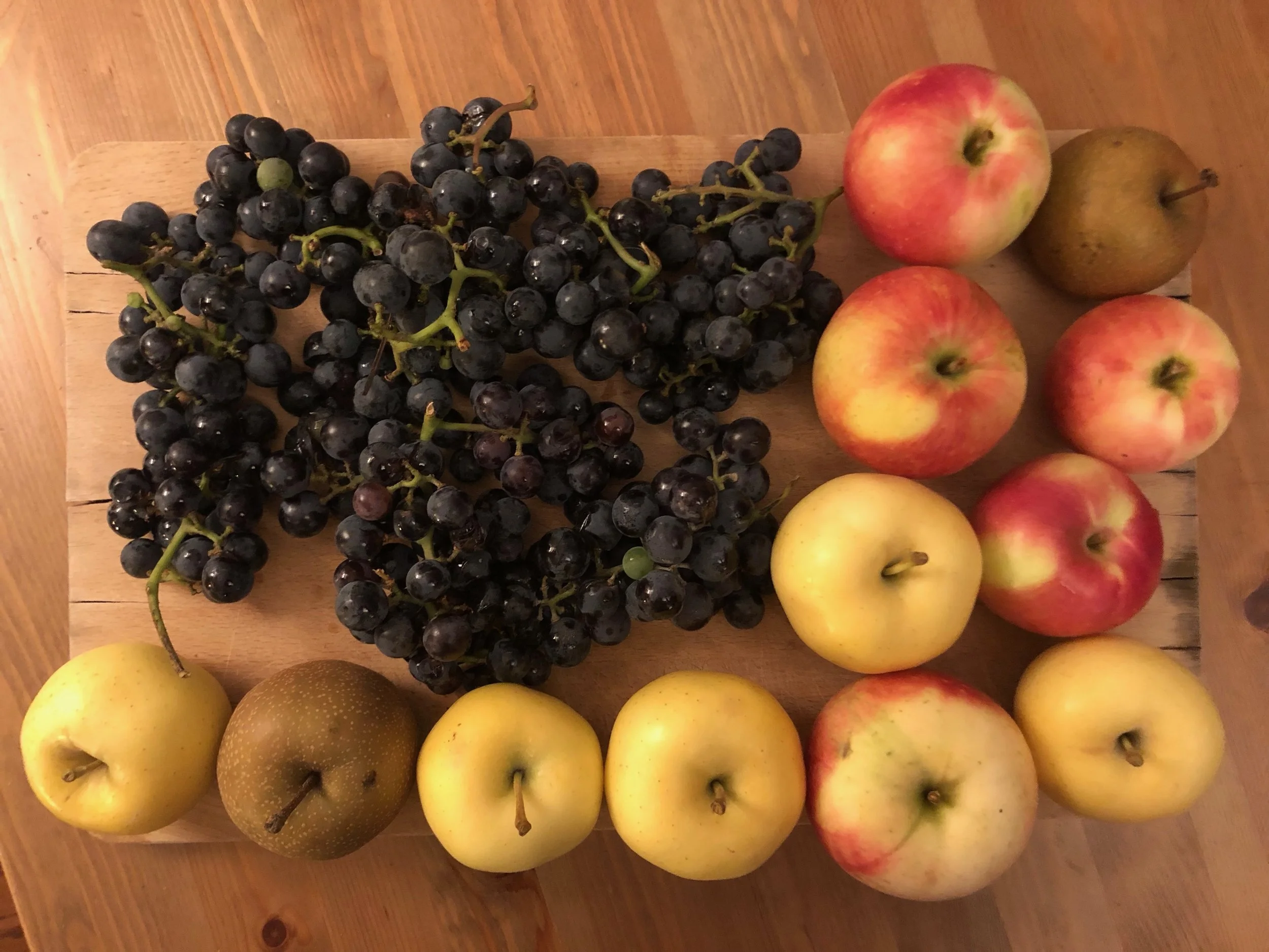 Week #13/14/15 Distribution