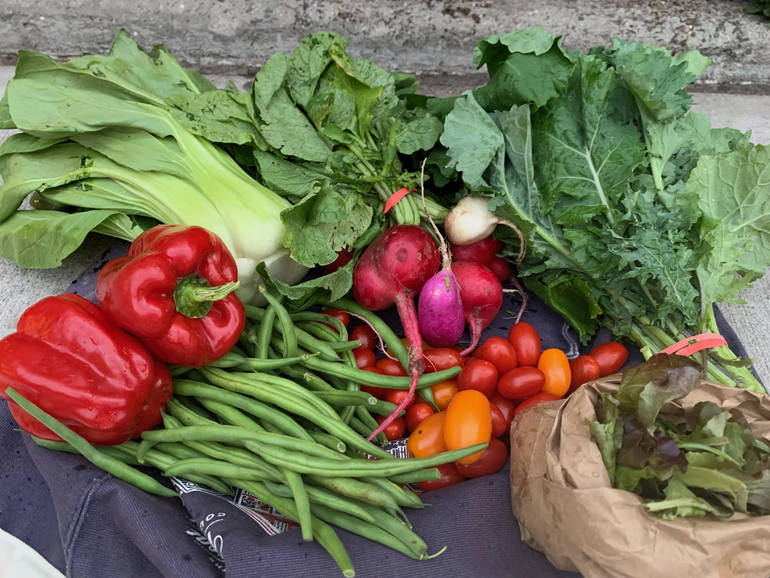 Week #17 Distribution