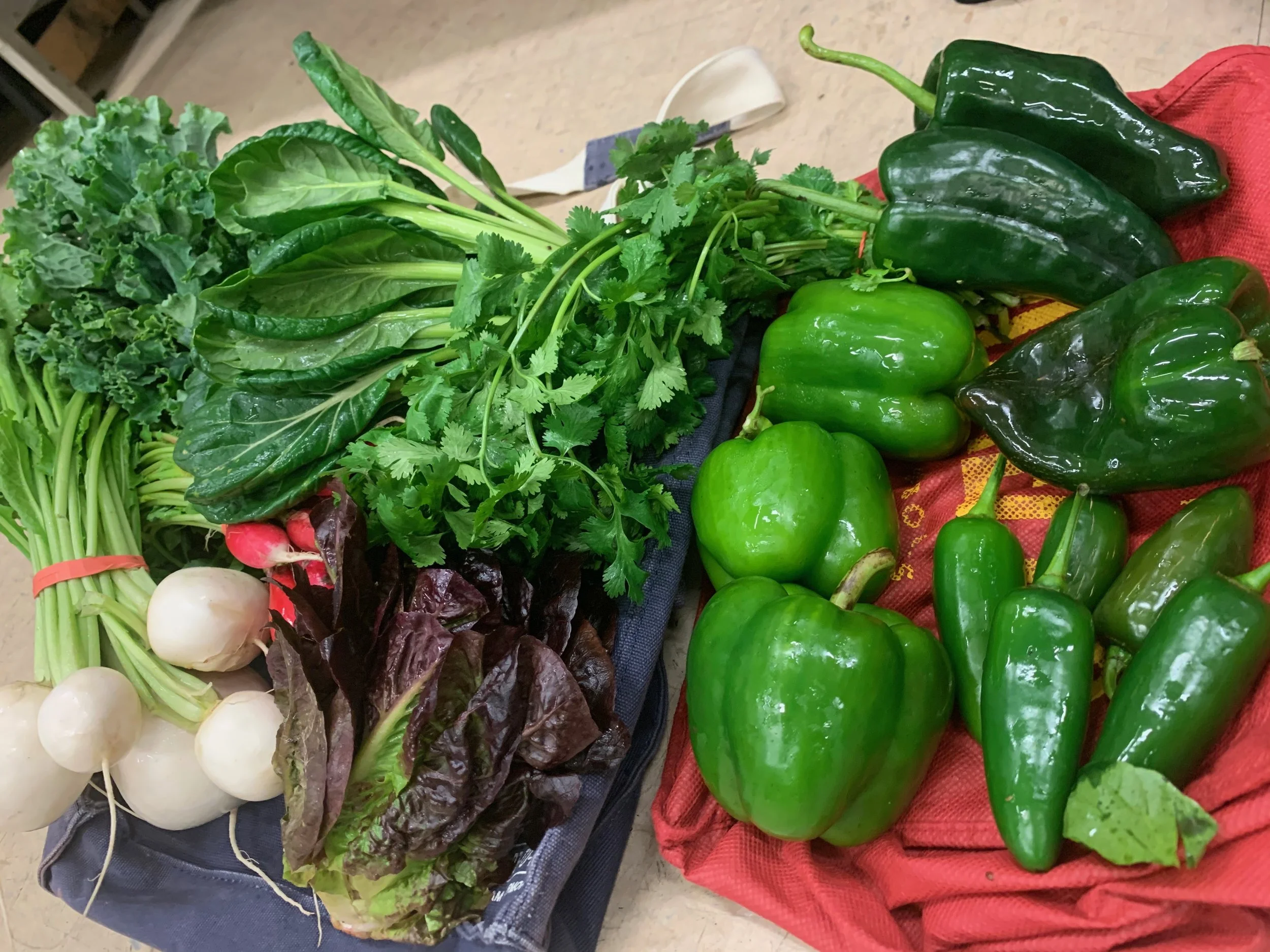 Week #18 Distribution