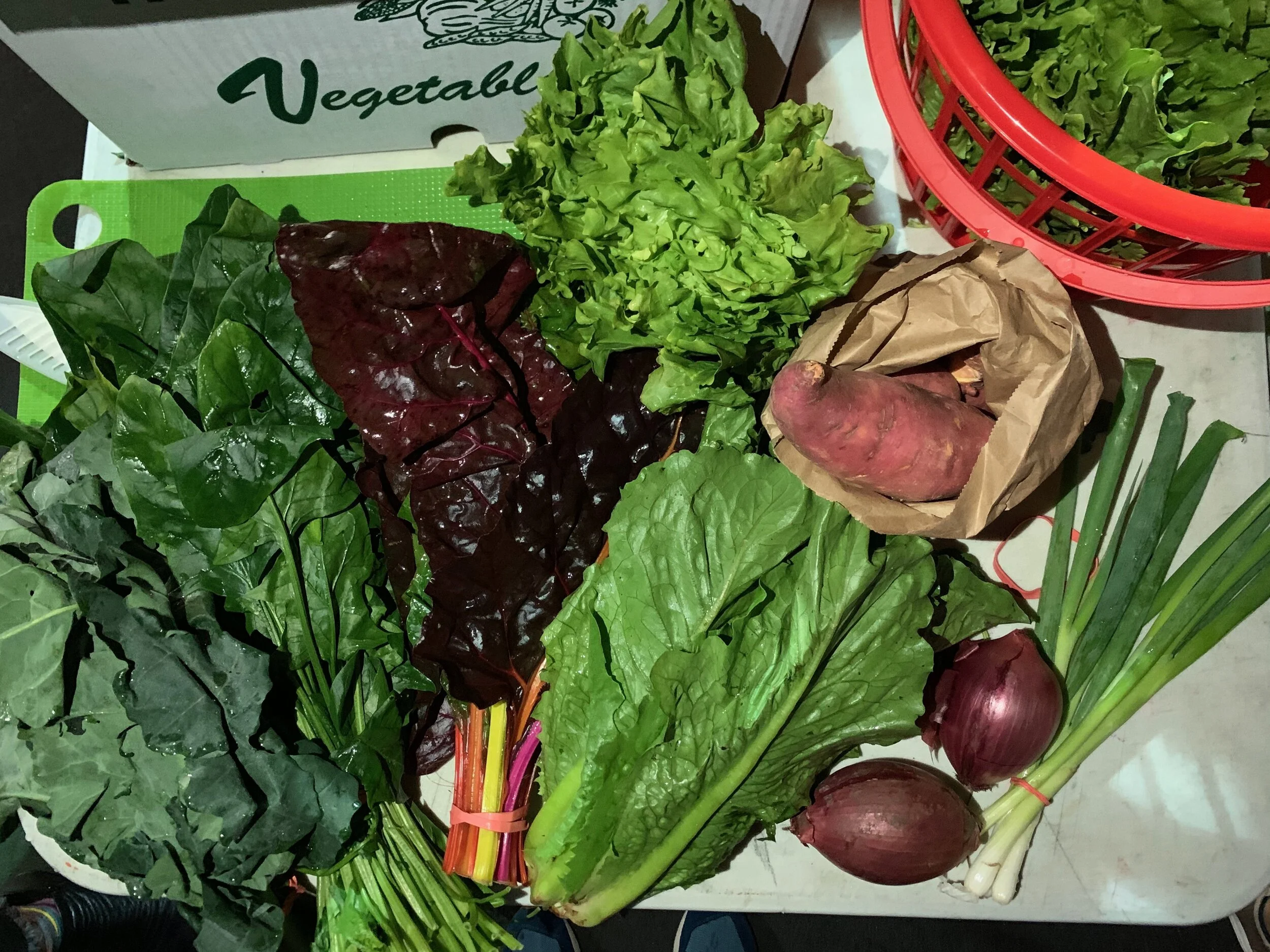 Large Vegetable Share