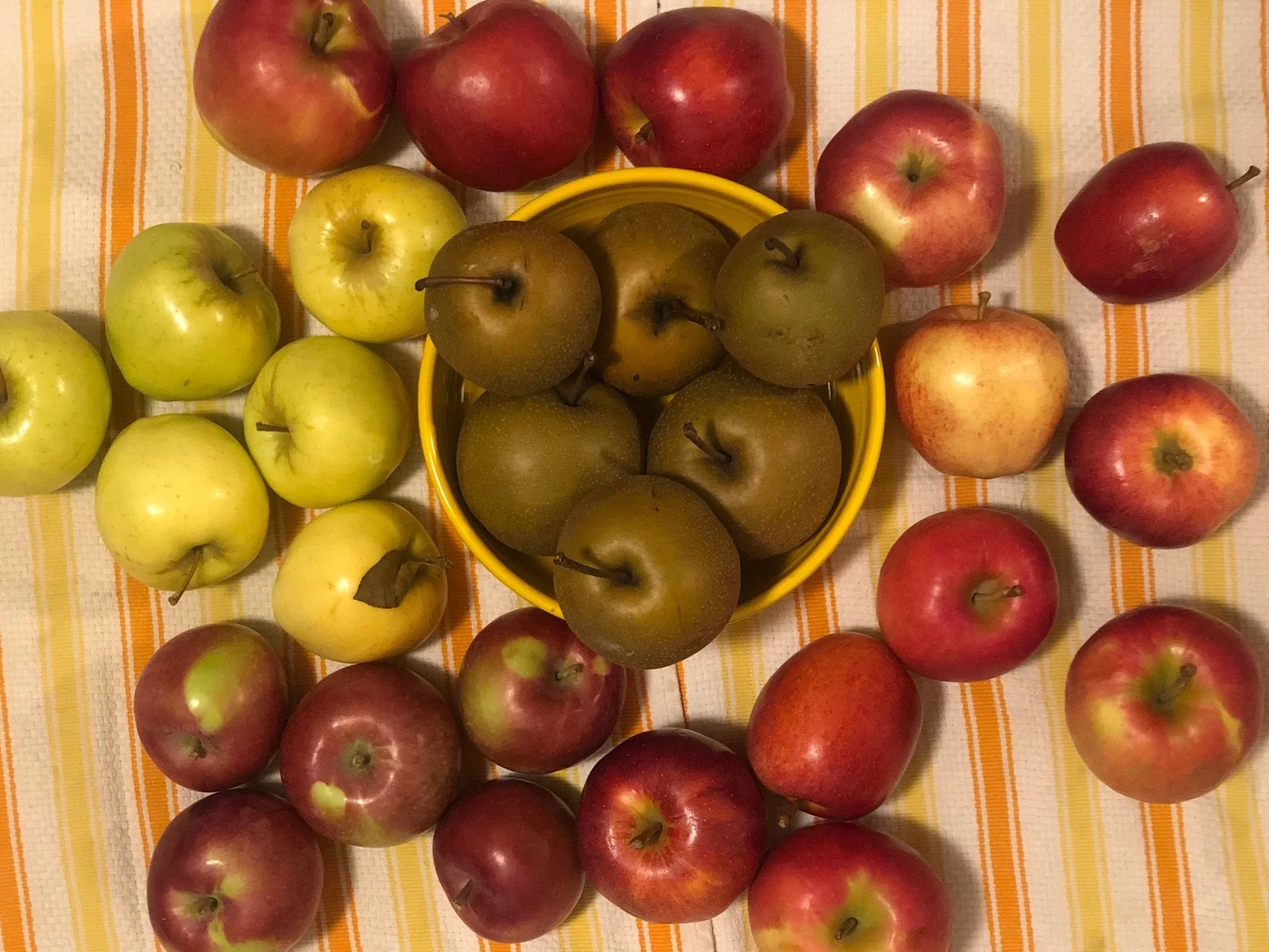 Week #21 Distribution