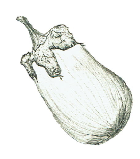 Eggplant