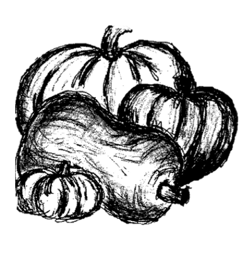 Winter Squash