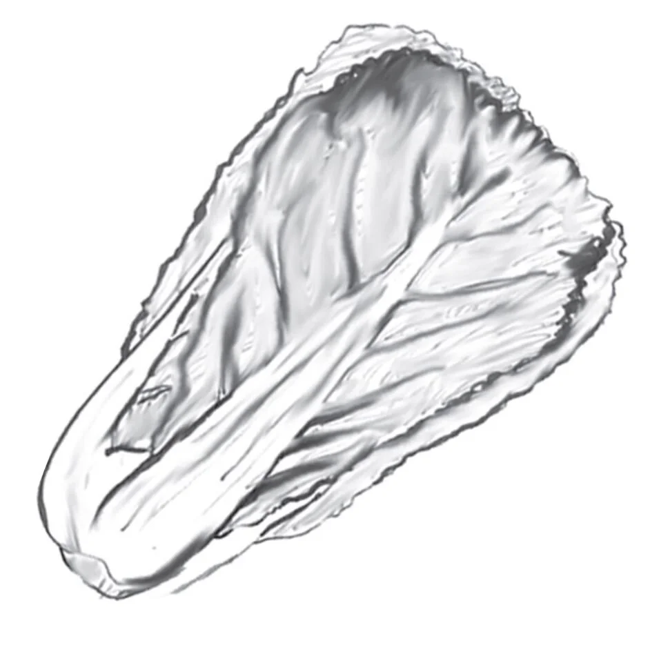 Chinese Cabbage