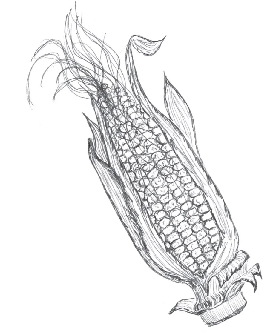 Corn