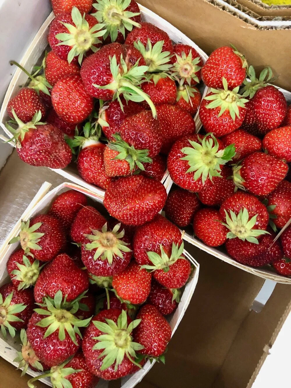 strawberries.jpg