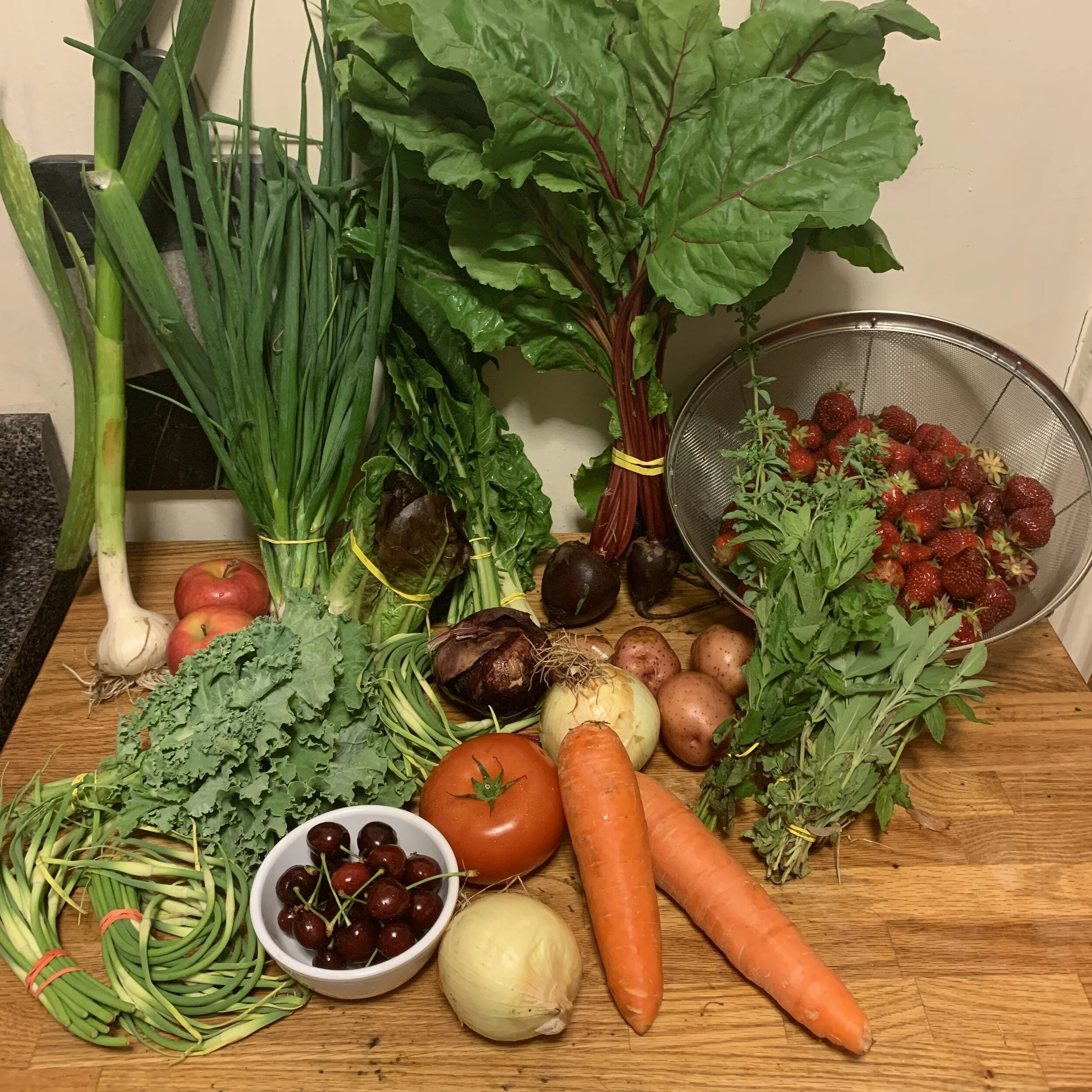 Week #3 Distribution 2020