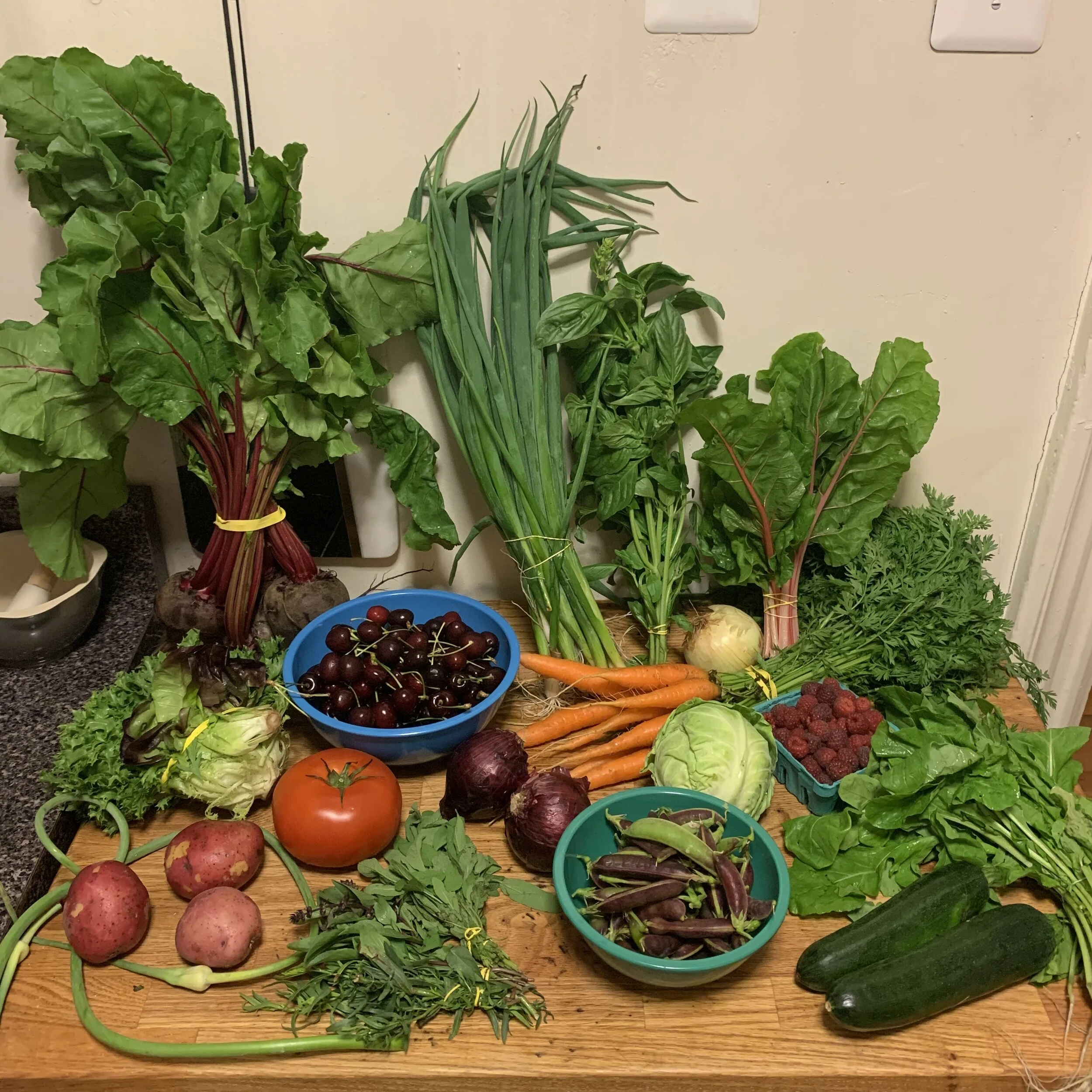 Week #4 Distribution 2020