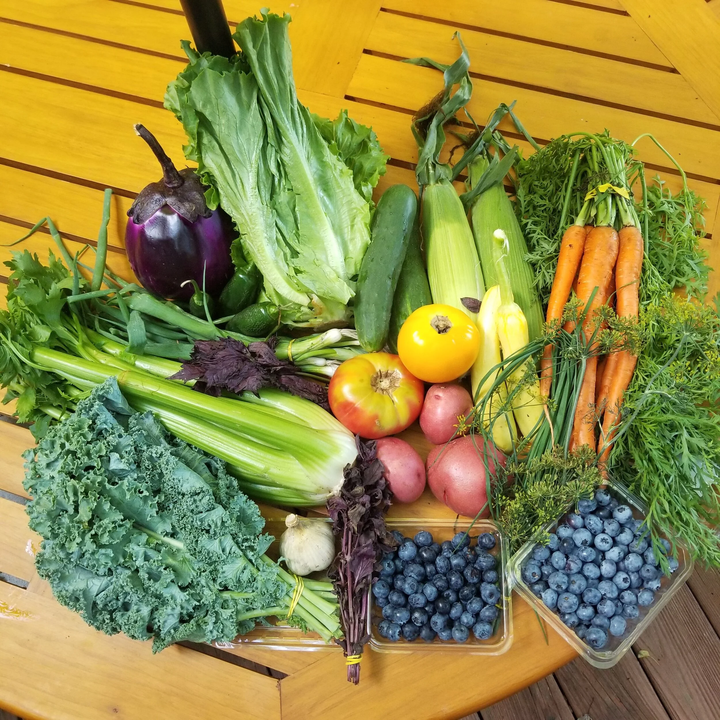 Week #9 Distribution 2020