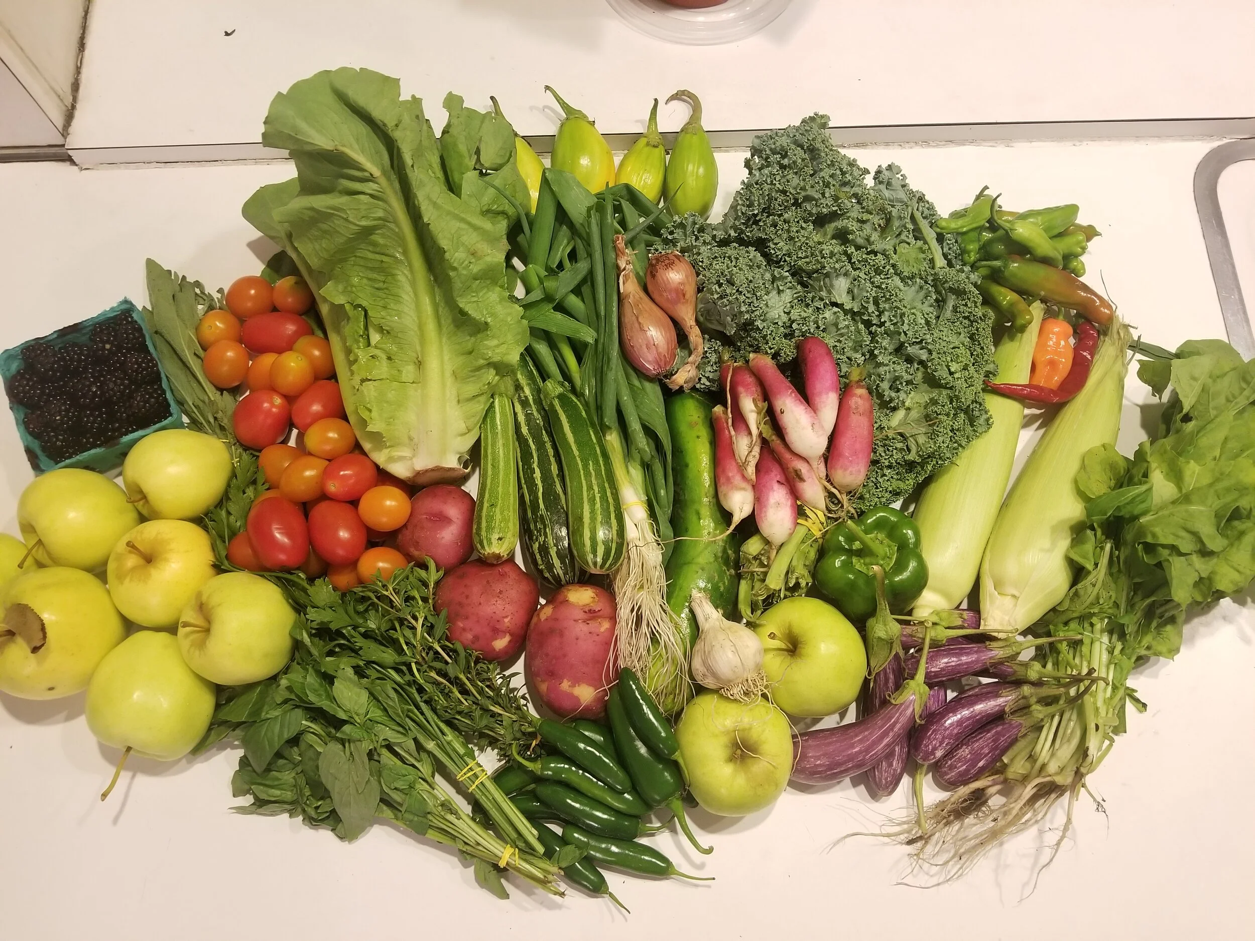 Week #13 Distribution 2020