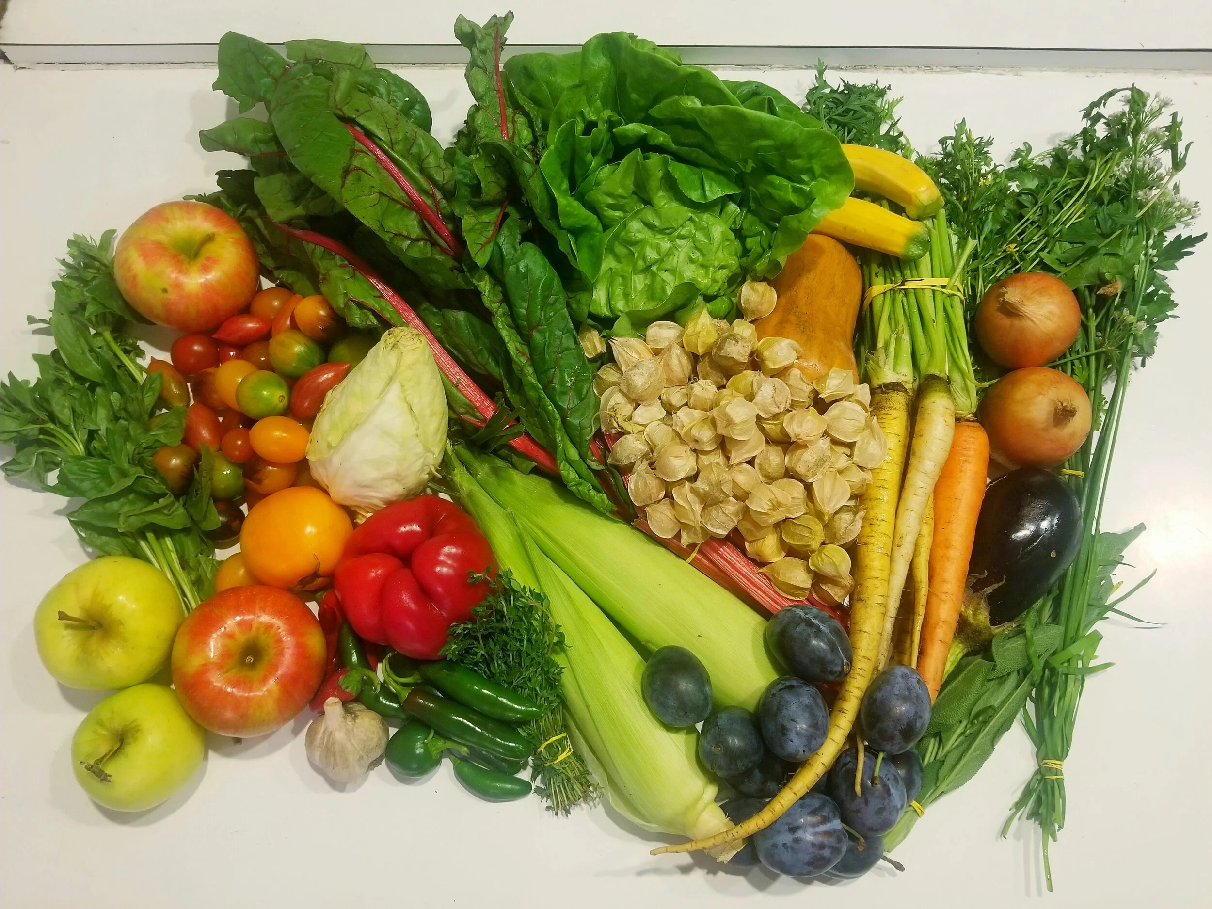 Week #14 Distribution 2020