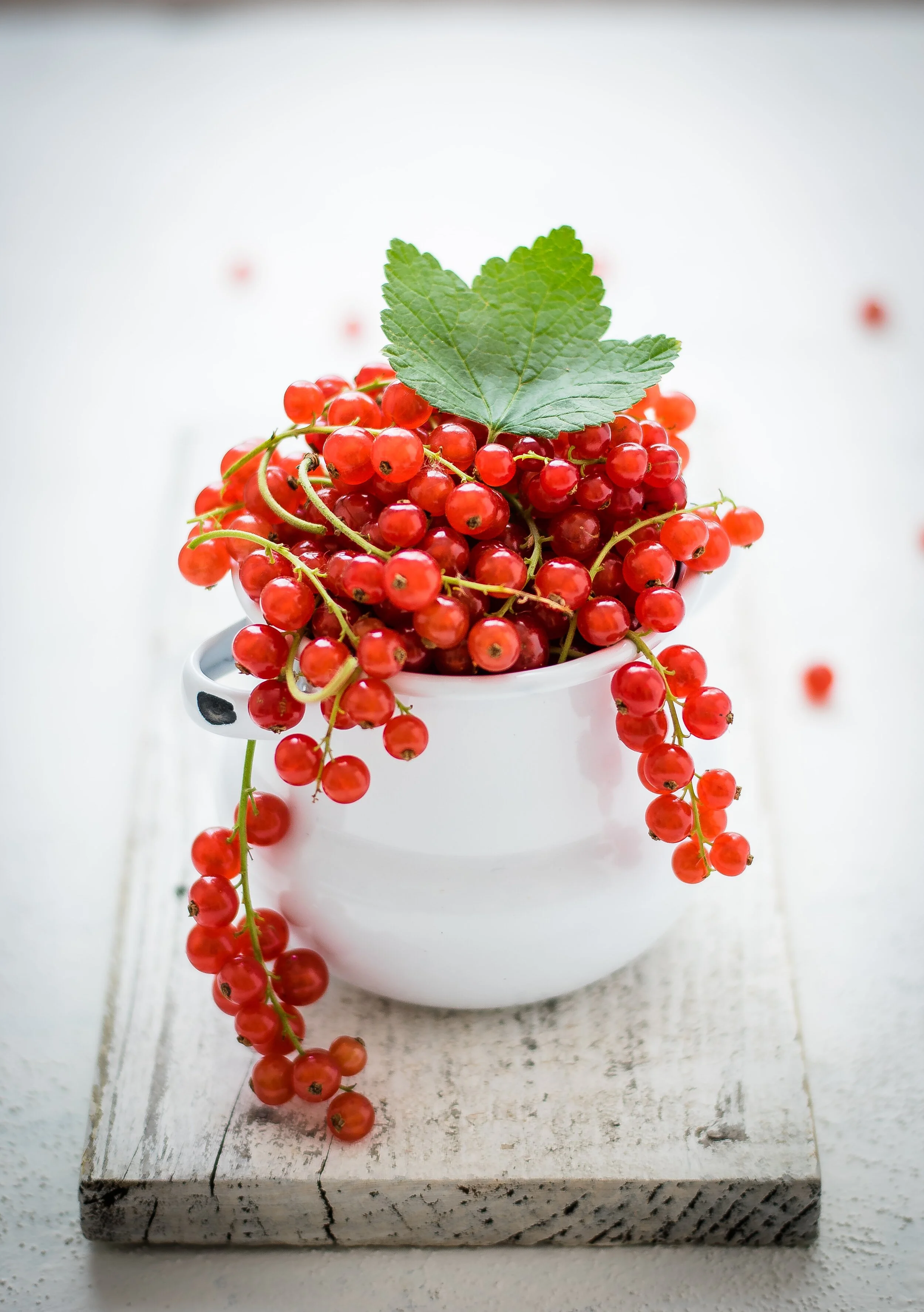 Red Currants Syrup Cocktail with Kaylin