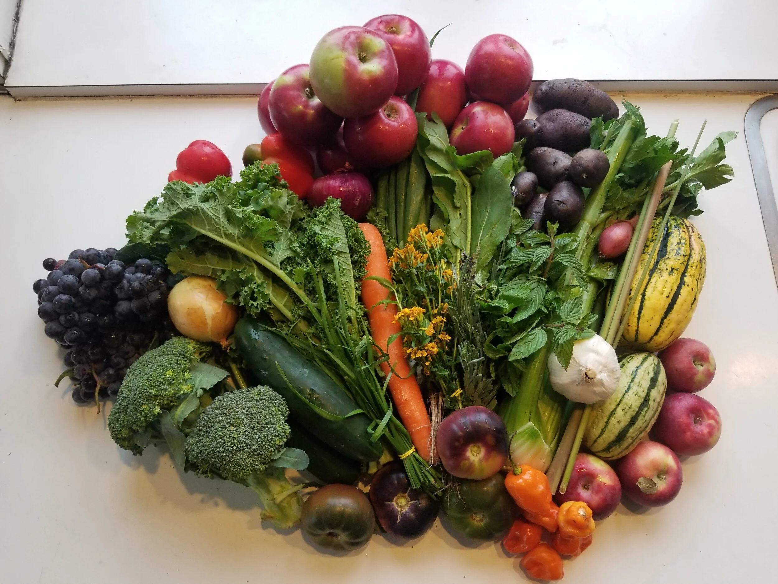 Week #19 Distribution 2020