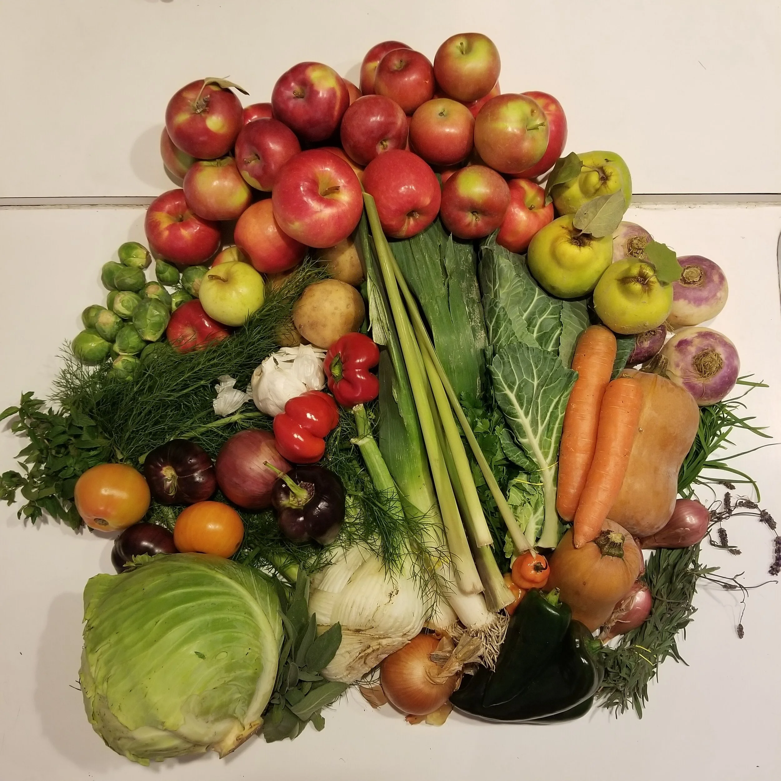 Week #22 Distribution 2020