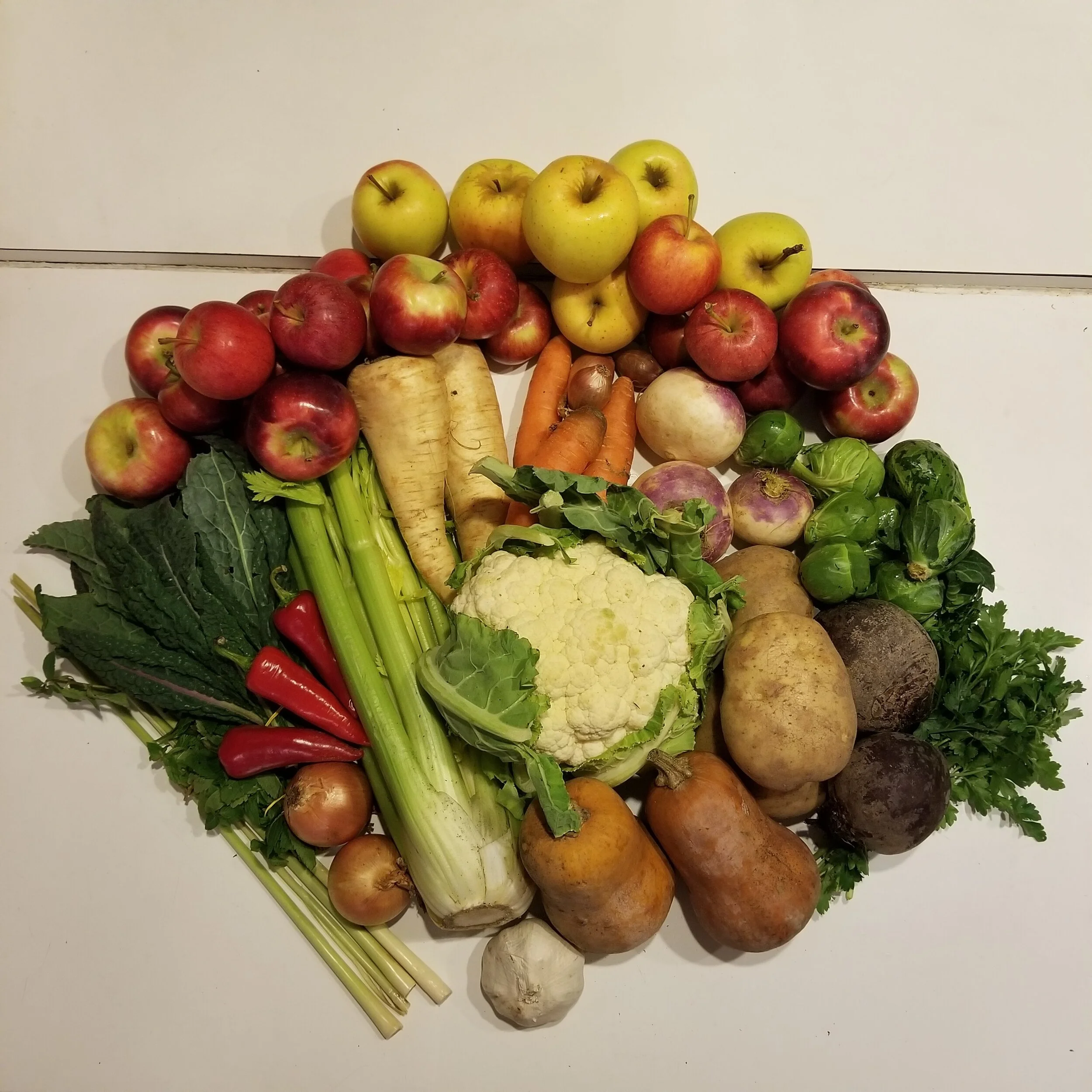 Week #24 Distribution 2020