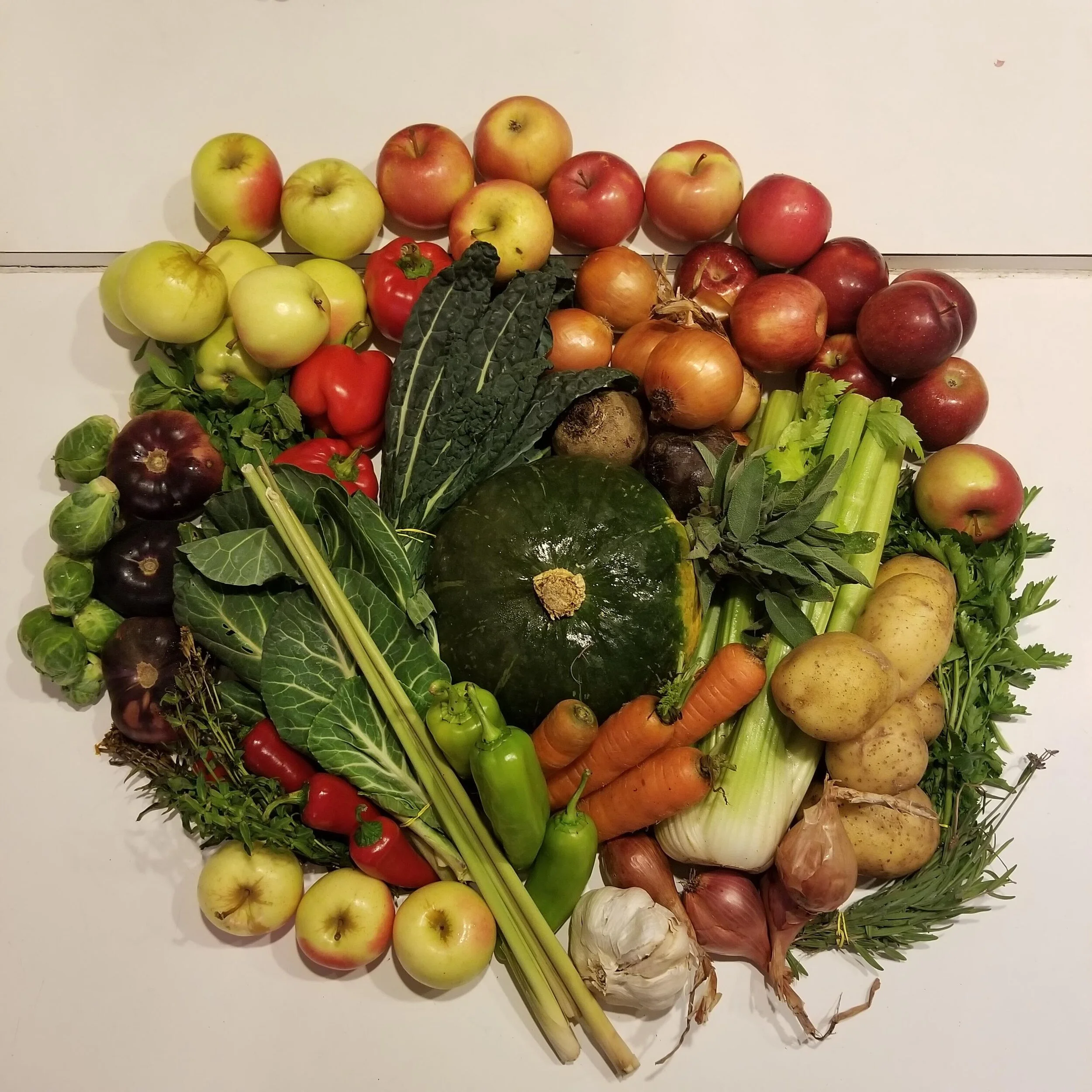 Week #23 Distribution 2020