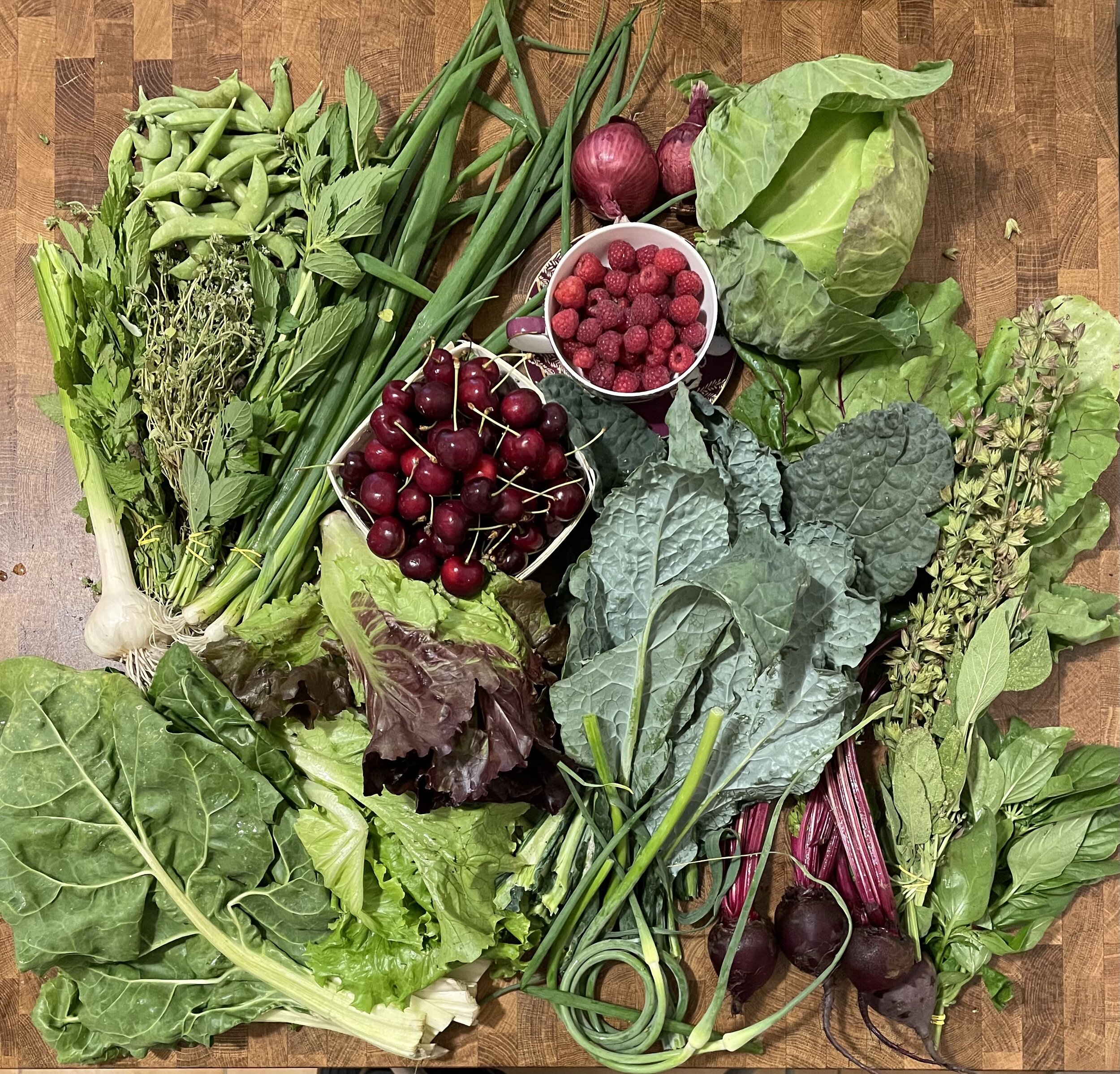 Week #2 Distribution 2021