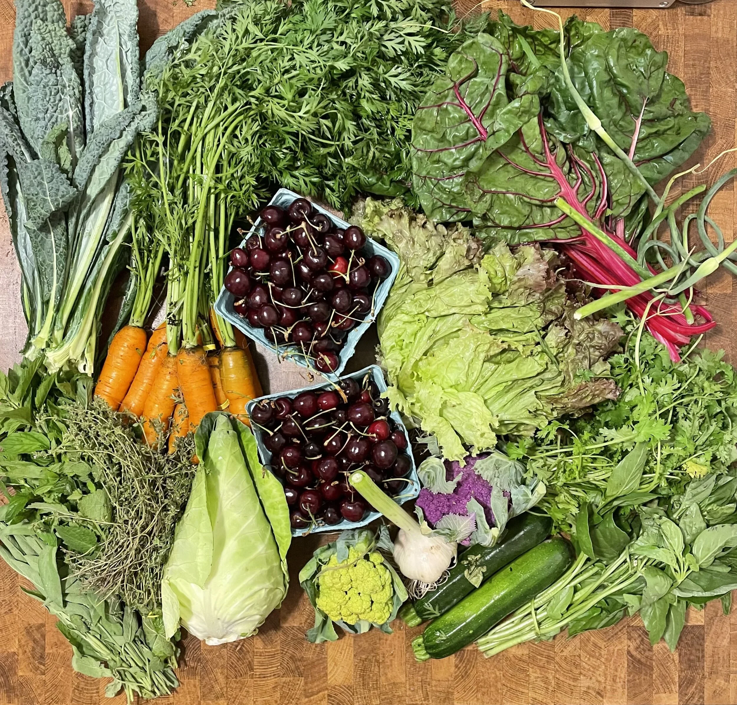 Week #4 Distribution 2021