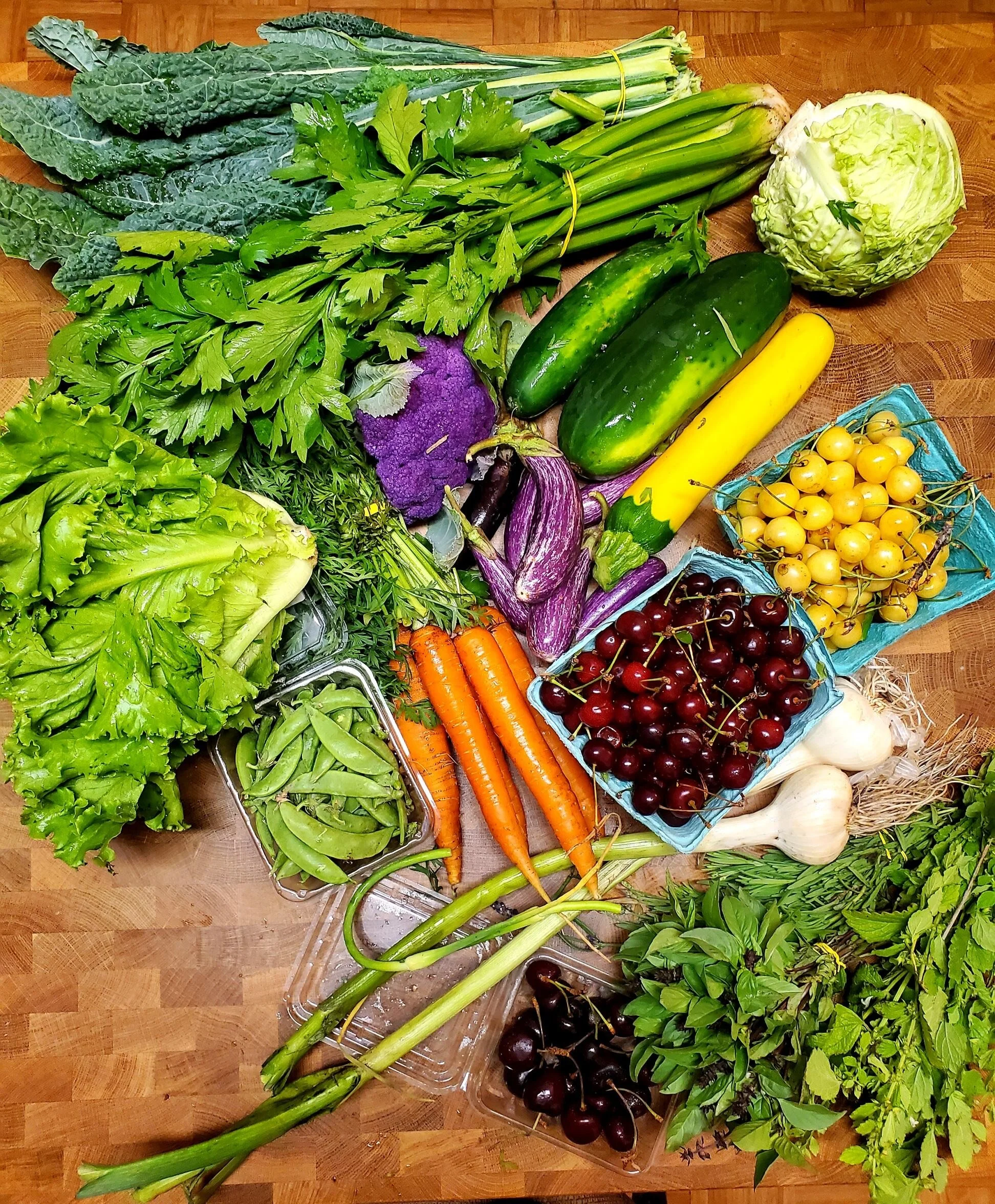 Week #5 Distribution 2021