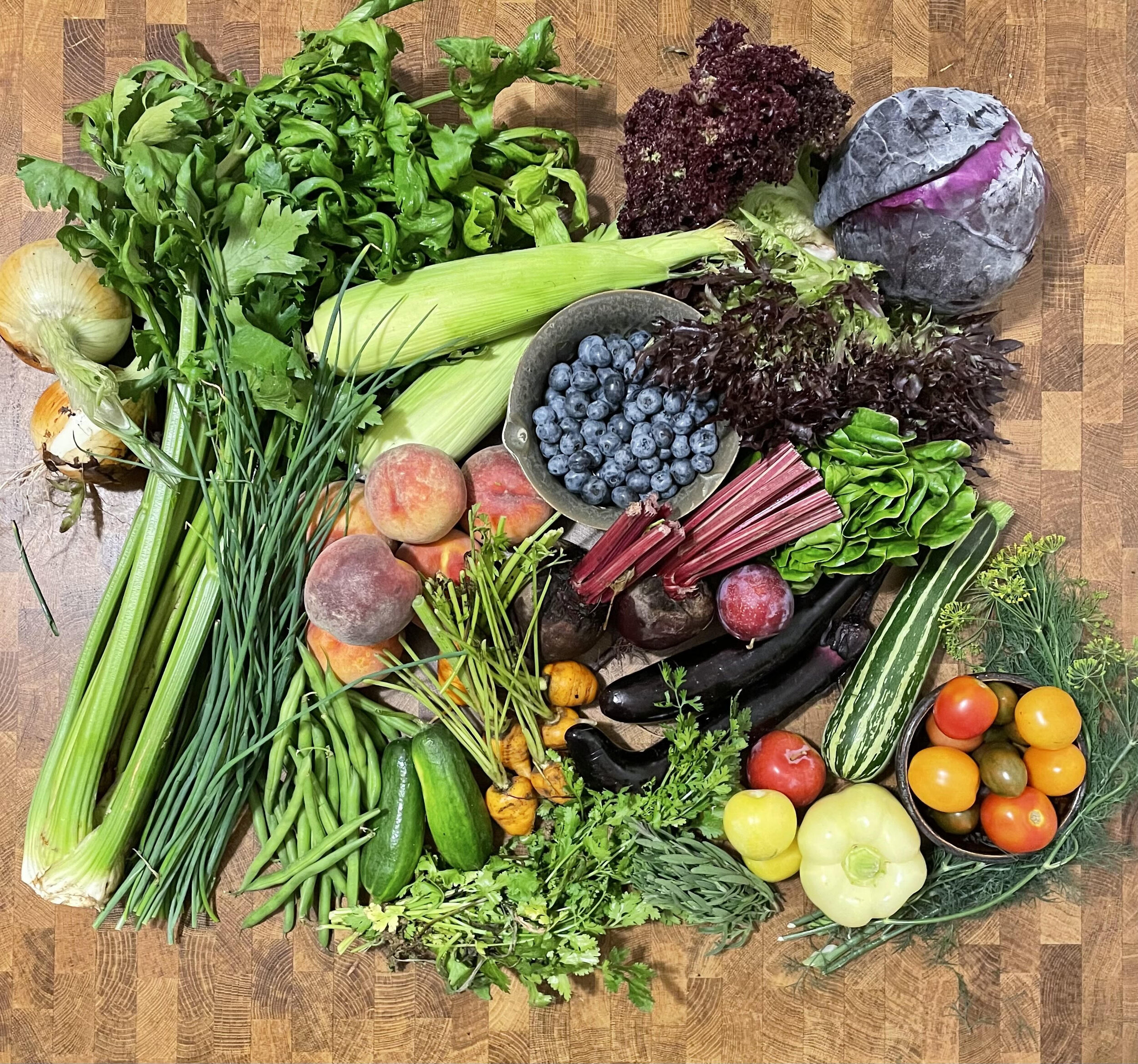 Week #8 Distribution 2021