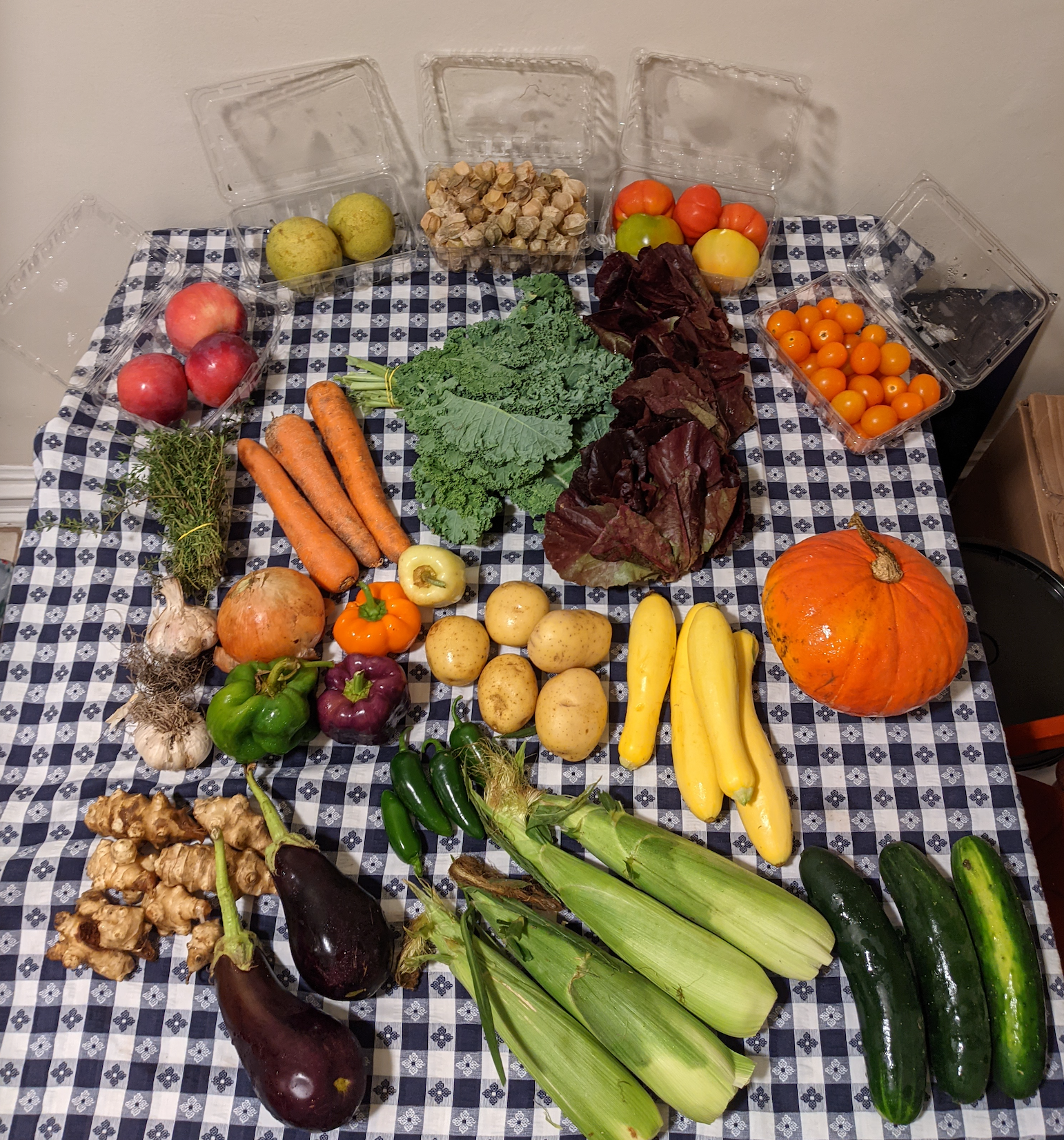 Week #16 Distribution 2021