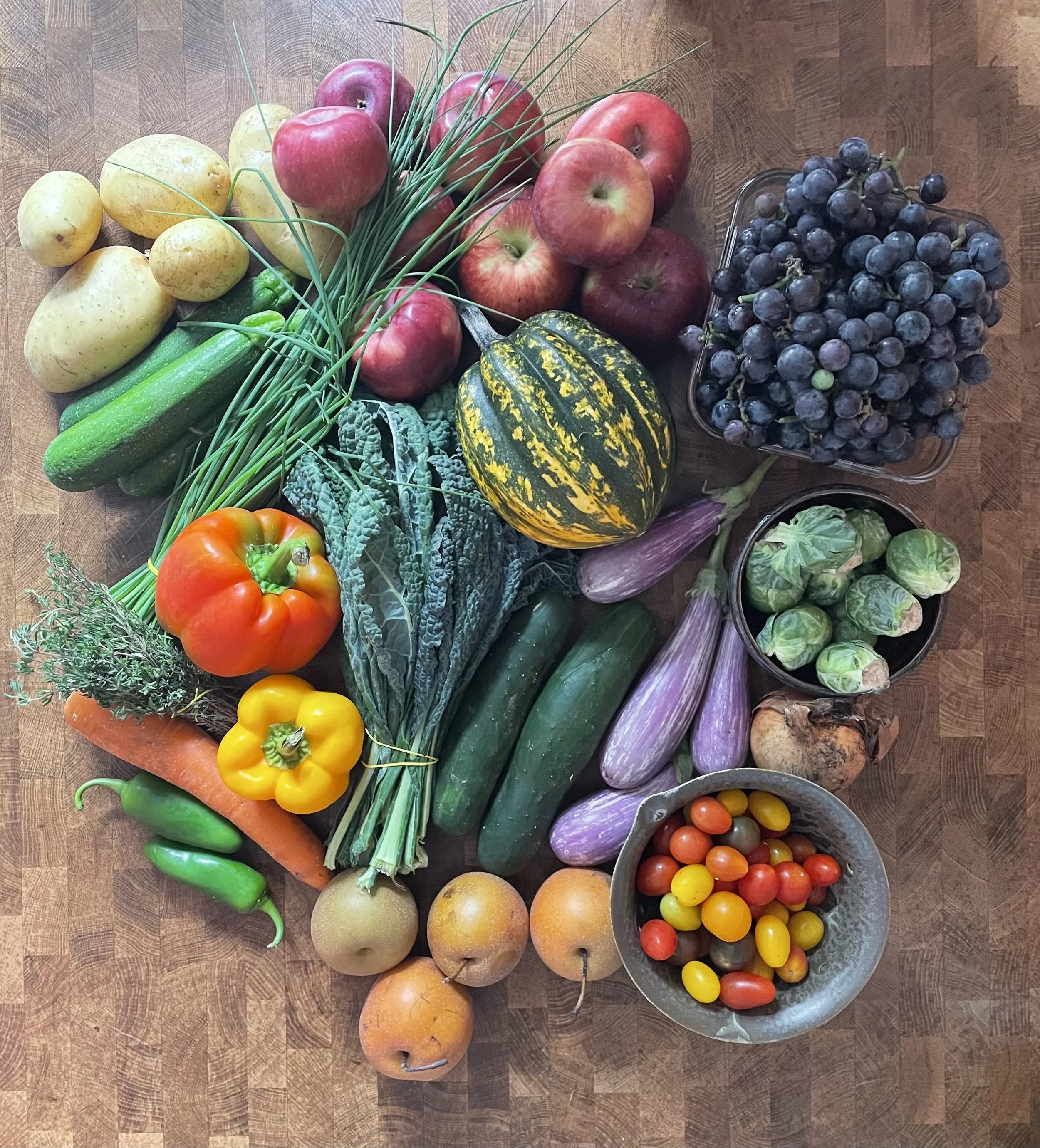 Week #17 Distribution 2021