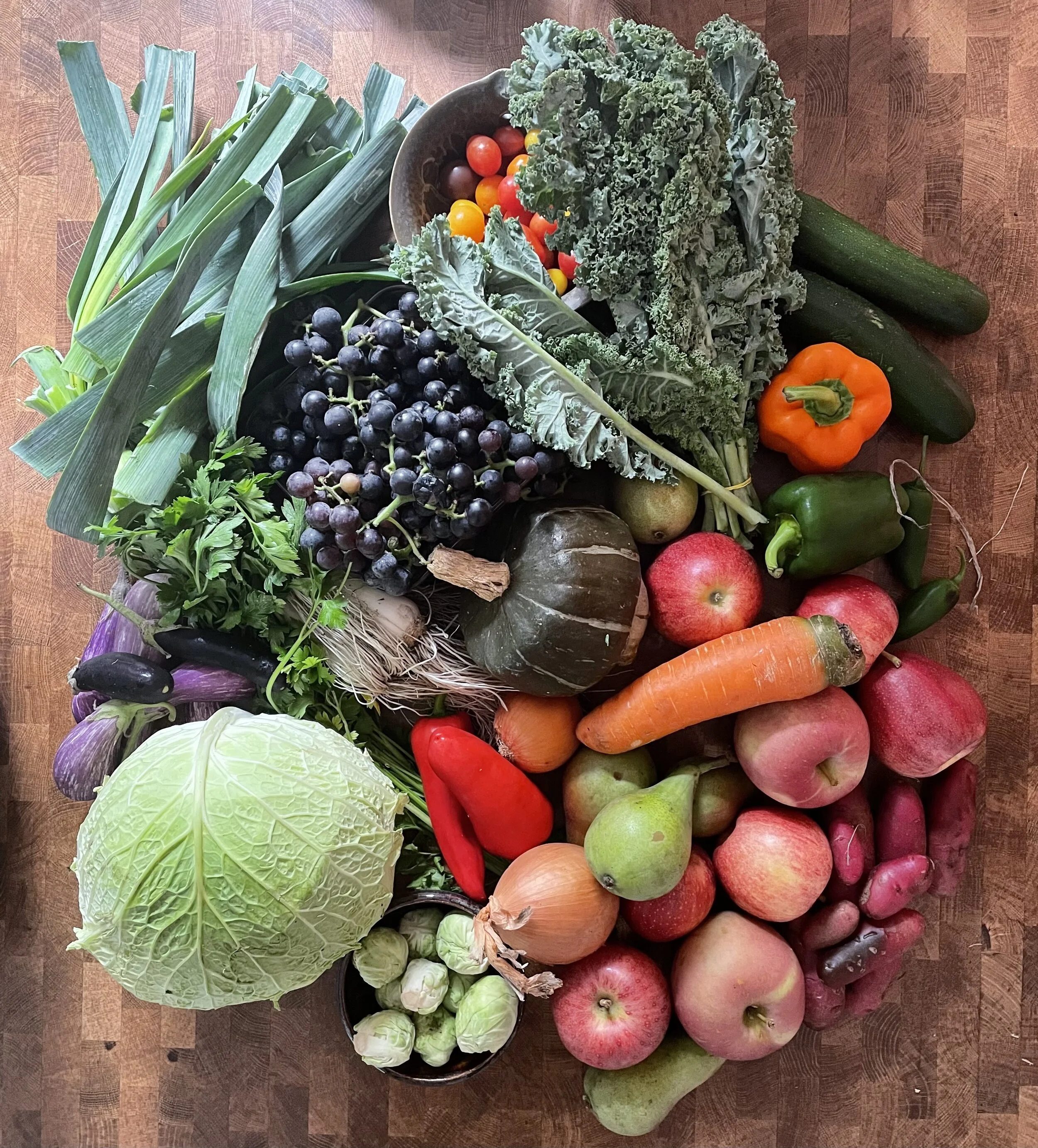 Week #18 Distribution 2021