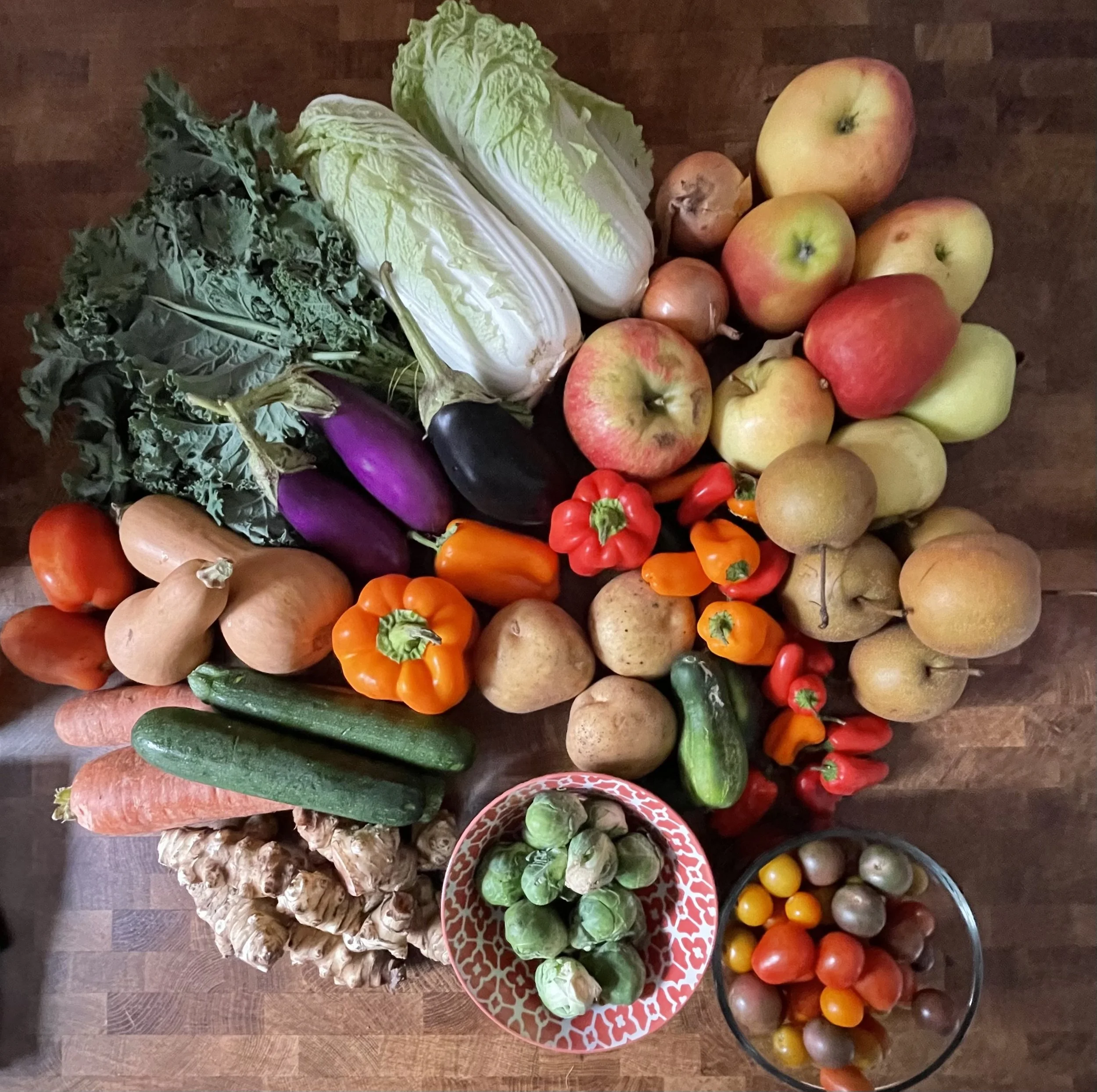 Week #19 Distribution 2021