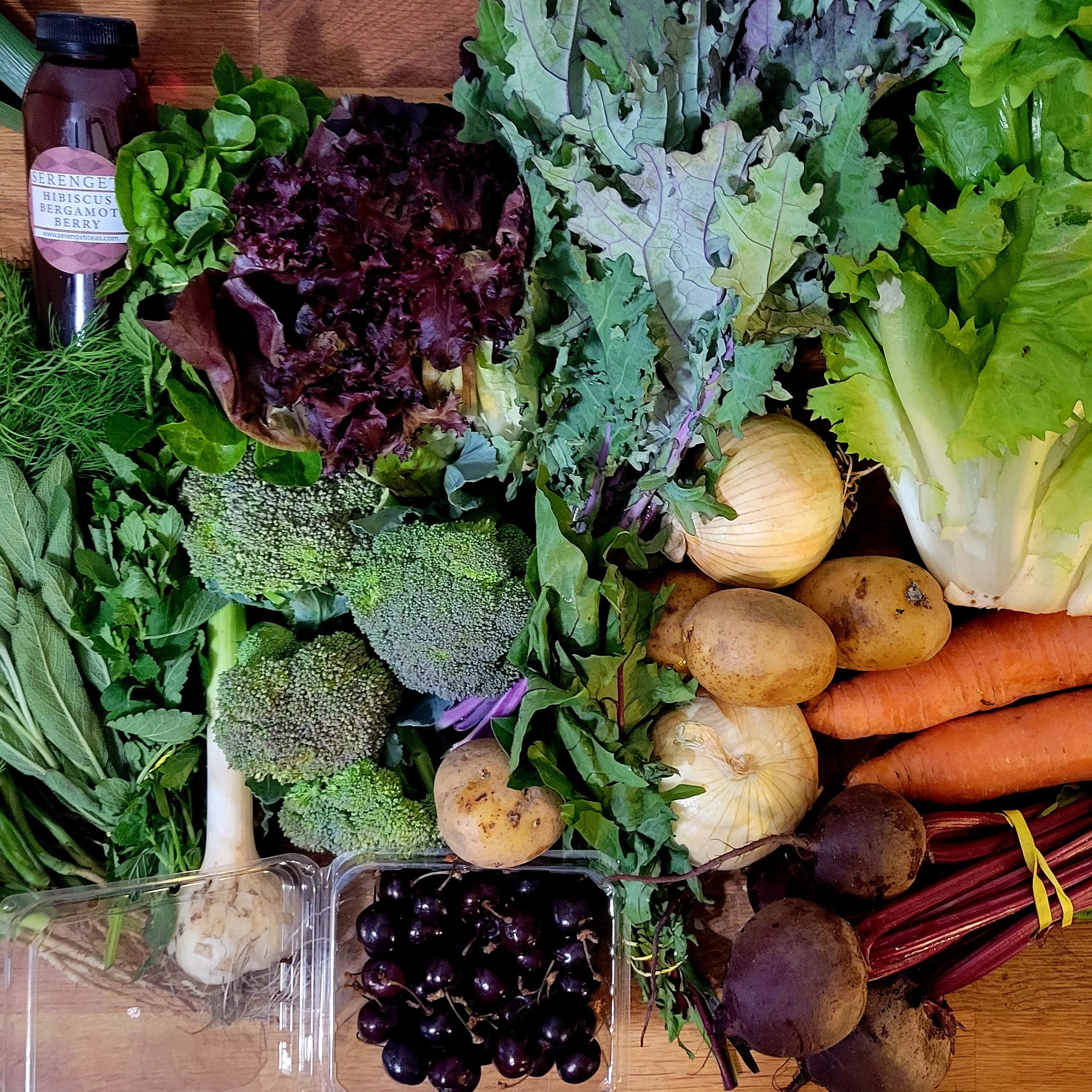 Week #2 Distribution 2022