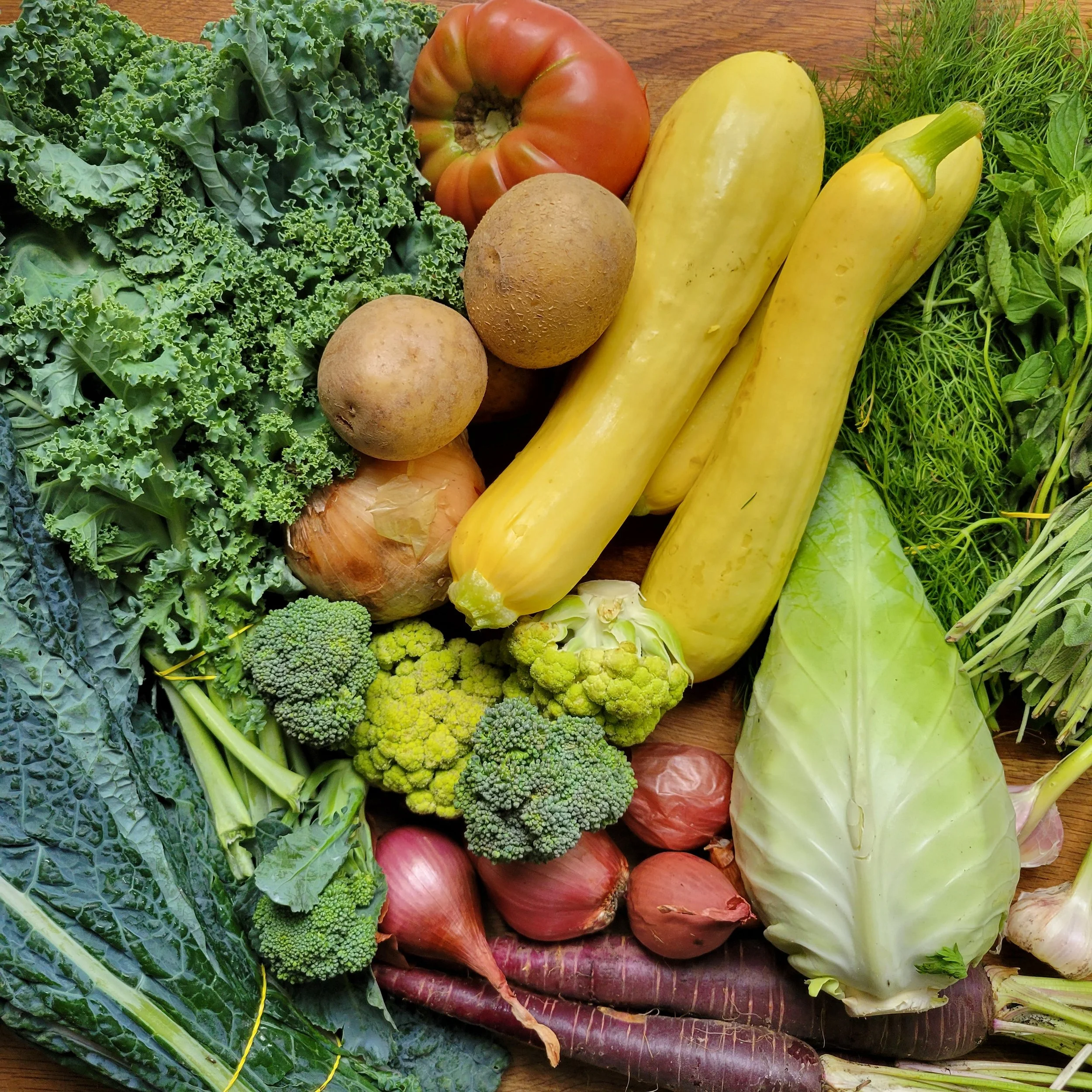 Week #4&amp;5 Distribution 2022