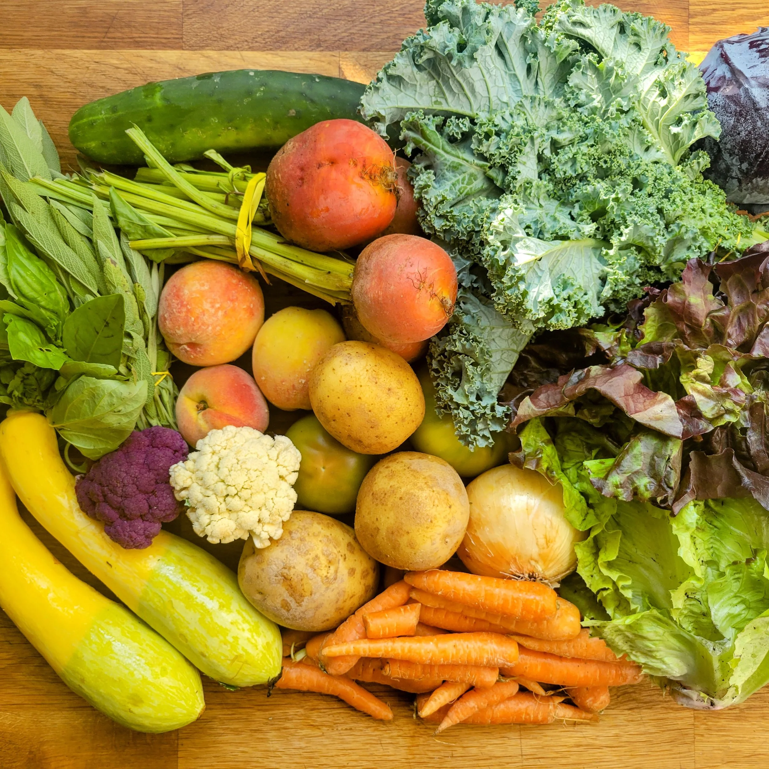 Week #6 Distribution 2022