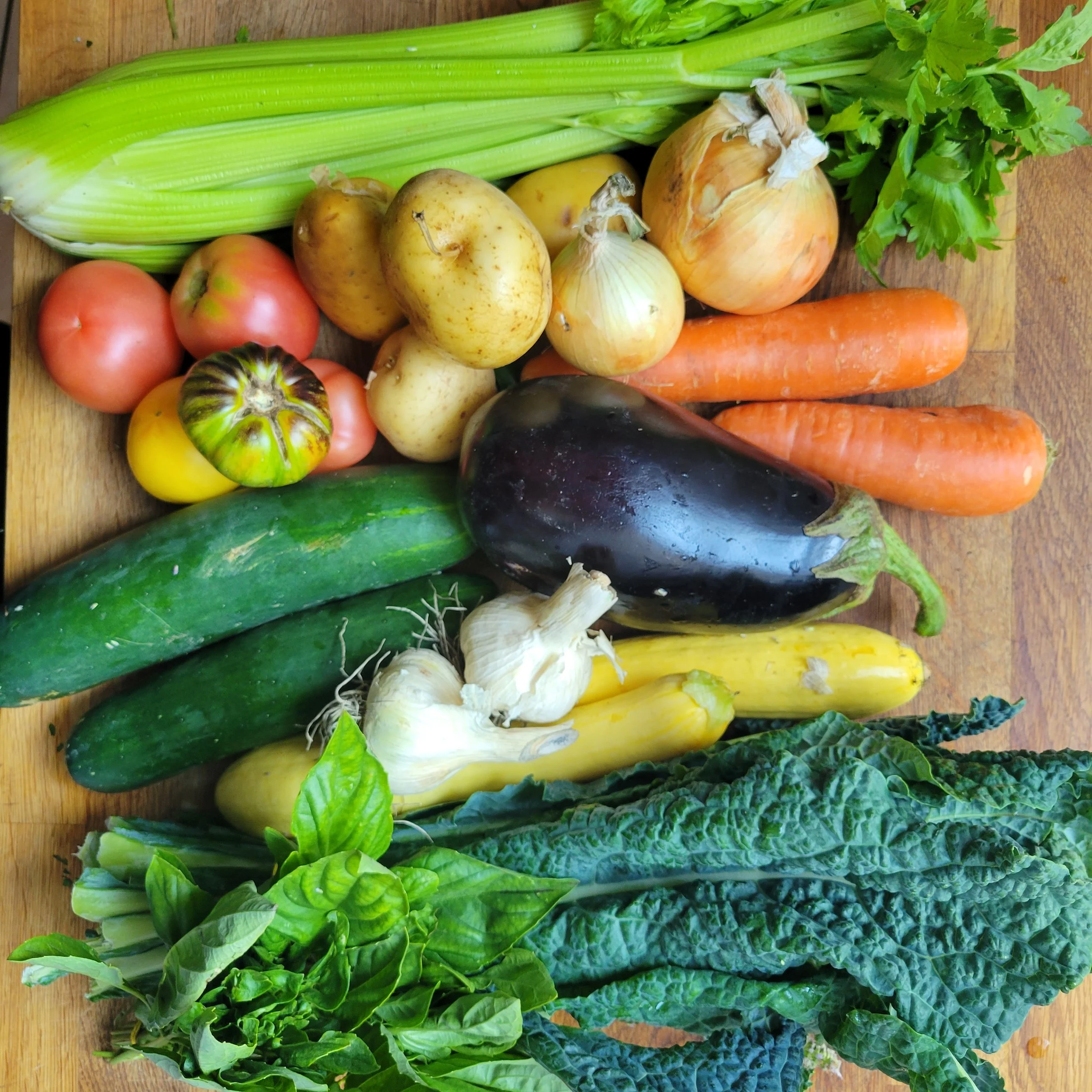 Week #8 Distribution 2022