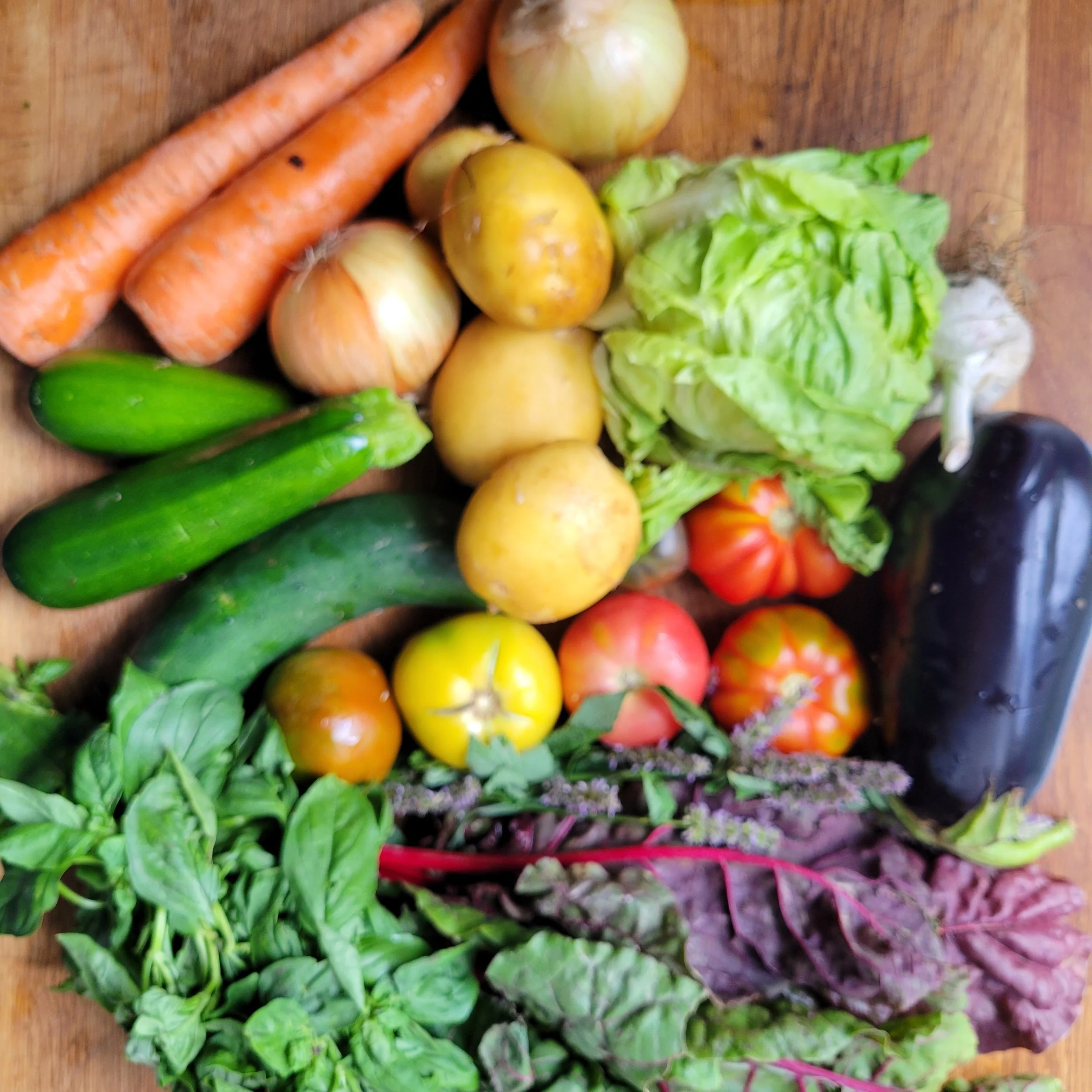 Week #9 Distribution 2022